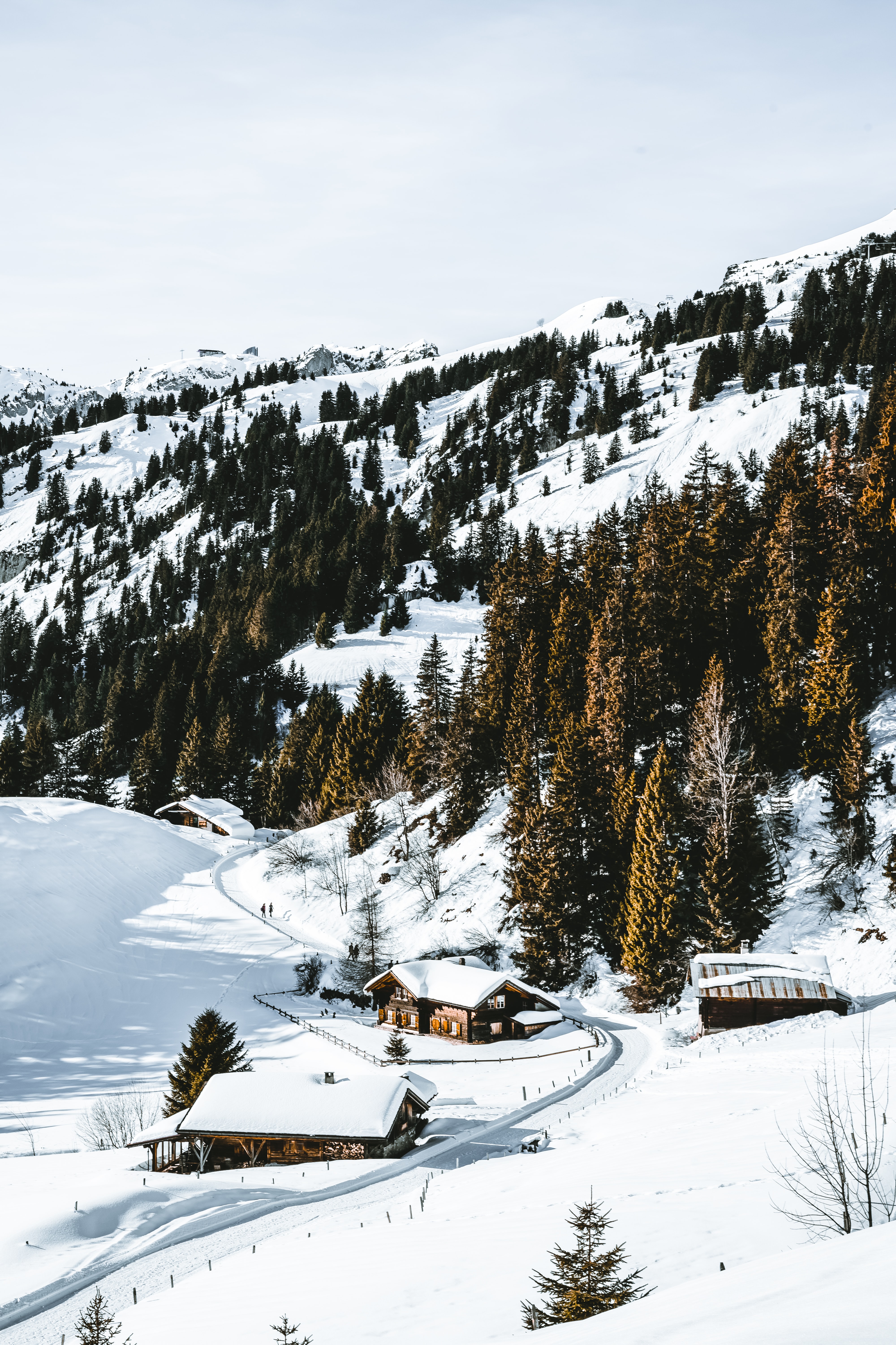 113186 Bild herunterladen natur, mountains, schnee, wald, dorf, schneebedeckt, snowbound - Hintergrundbilder und Bildschirmschoner kostenlos