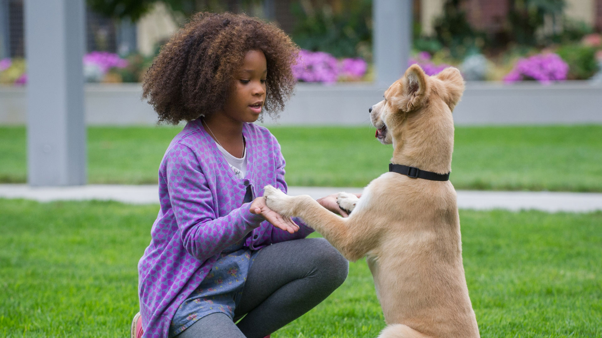 Los mejores fondos de pantalla de Annie (2014) para la pantalla del teléfono