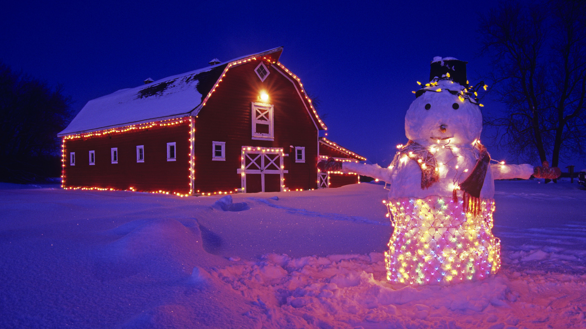 547952 скачать обои снеговик, снег, зима, праздничные, рождество, сарай, рождественские огни, ночь - заставки и картинки бесплатно