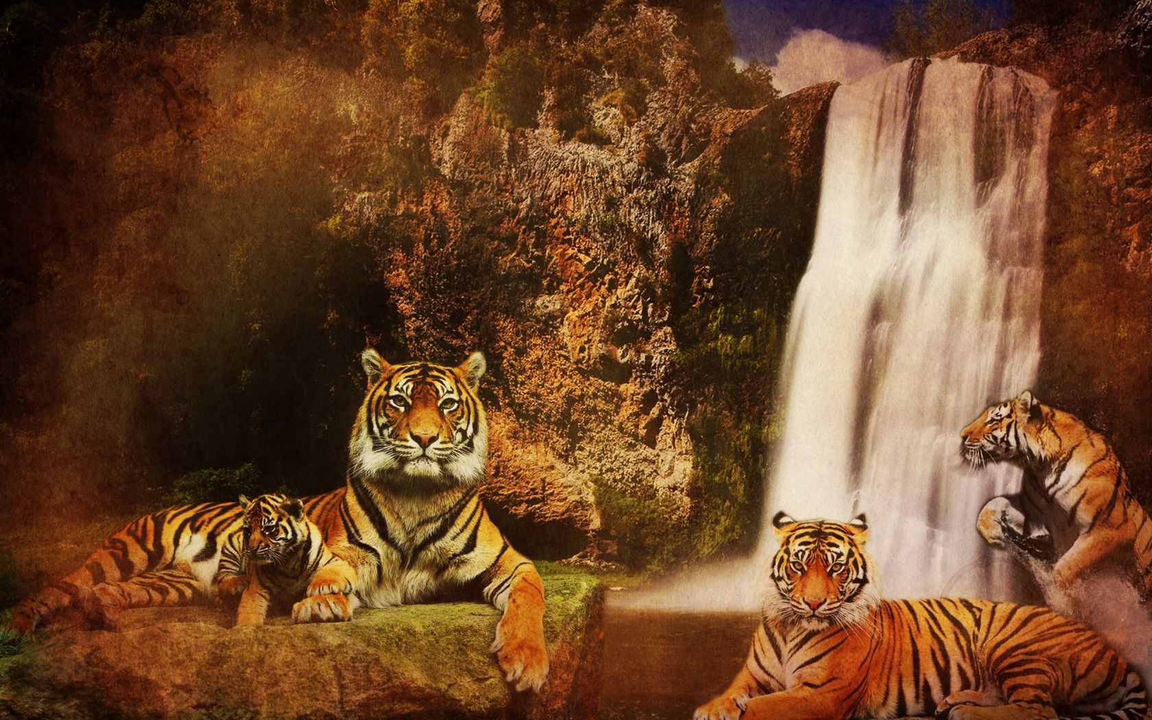 Free download wallpaper Animals, Water, Mountains, Predators, Rocks, Waterfall, Background, Tigers, Cats on your PC desktop