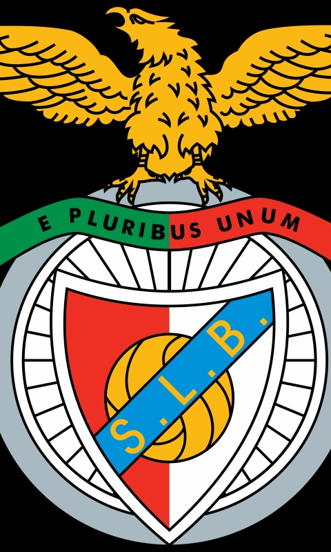 Download mobile wallpaper Sports, Soccer, S L Benfica for free.