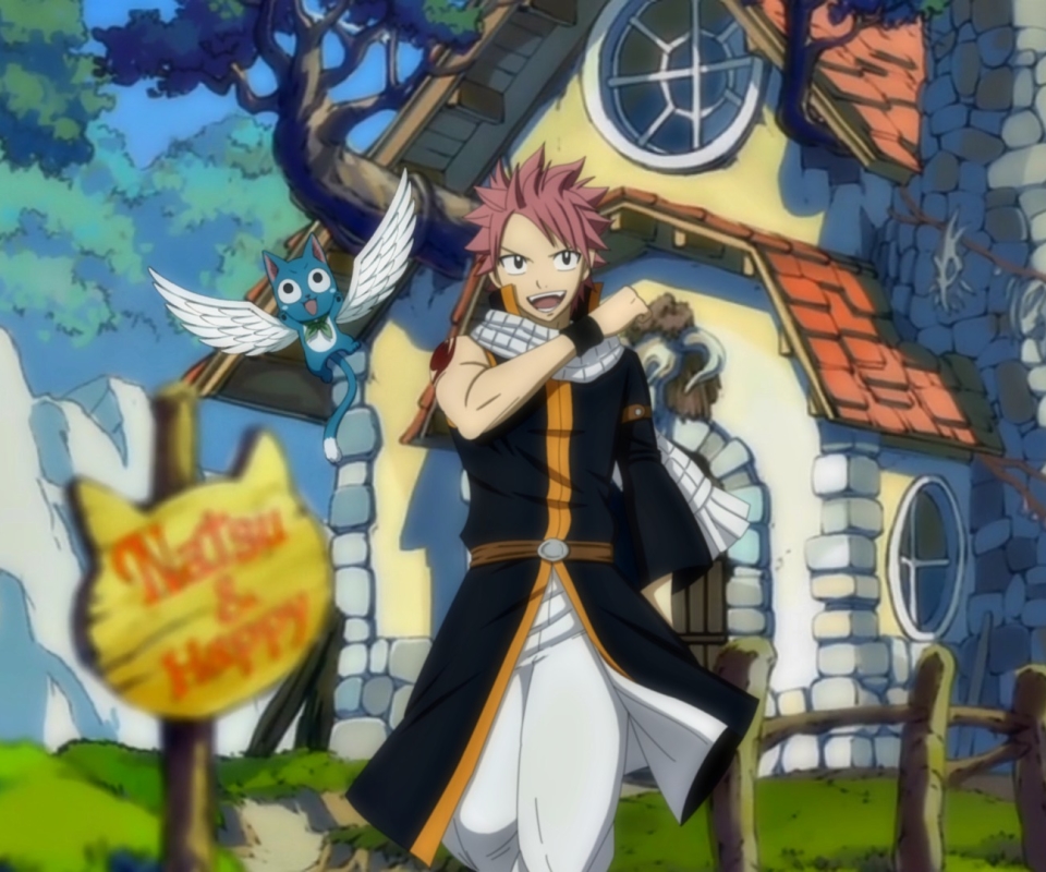 Free download wallpaper Anime, Fairy Tail, Natsu Dragneel, Happy (Fairy Tail) on your PC desktop
