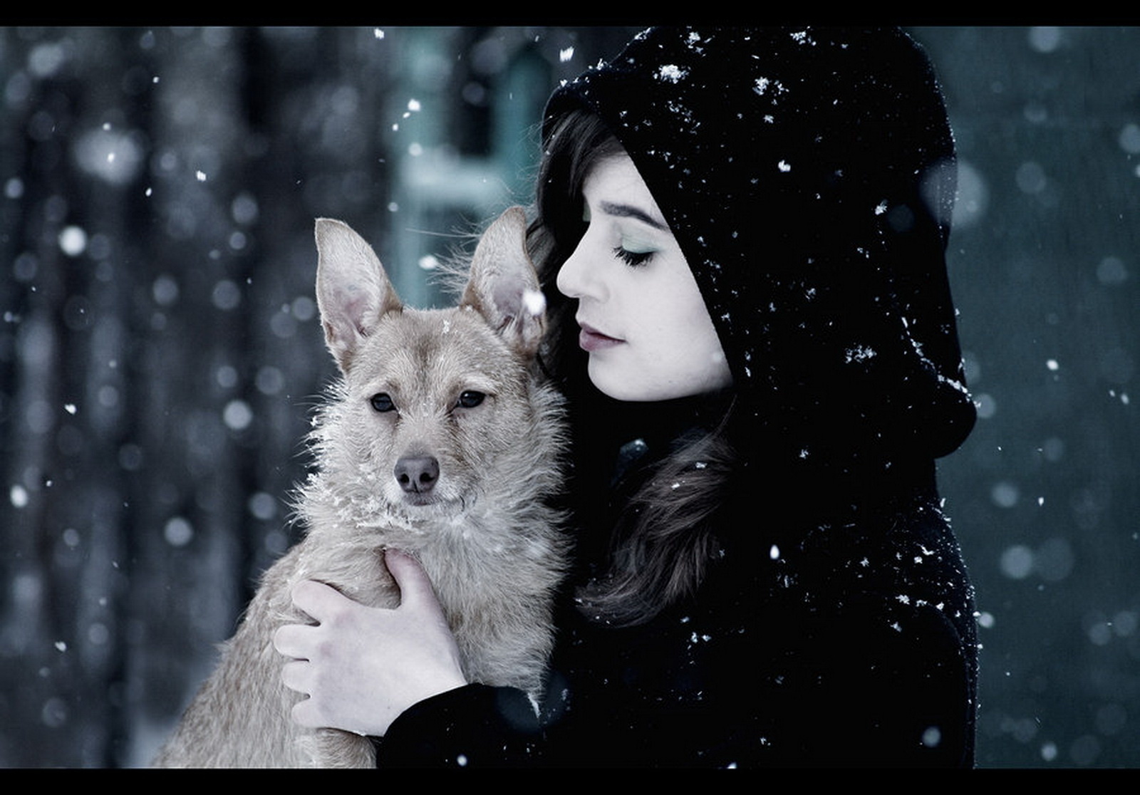 Download mobile wallpaper Winter, Dog, Style, Mood, Women, Witch for free.