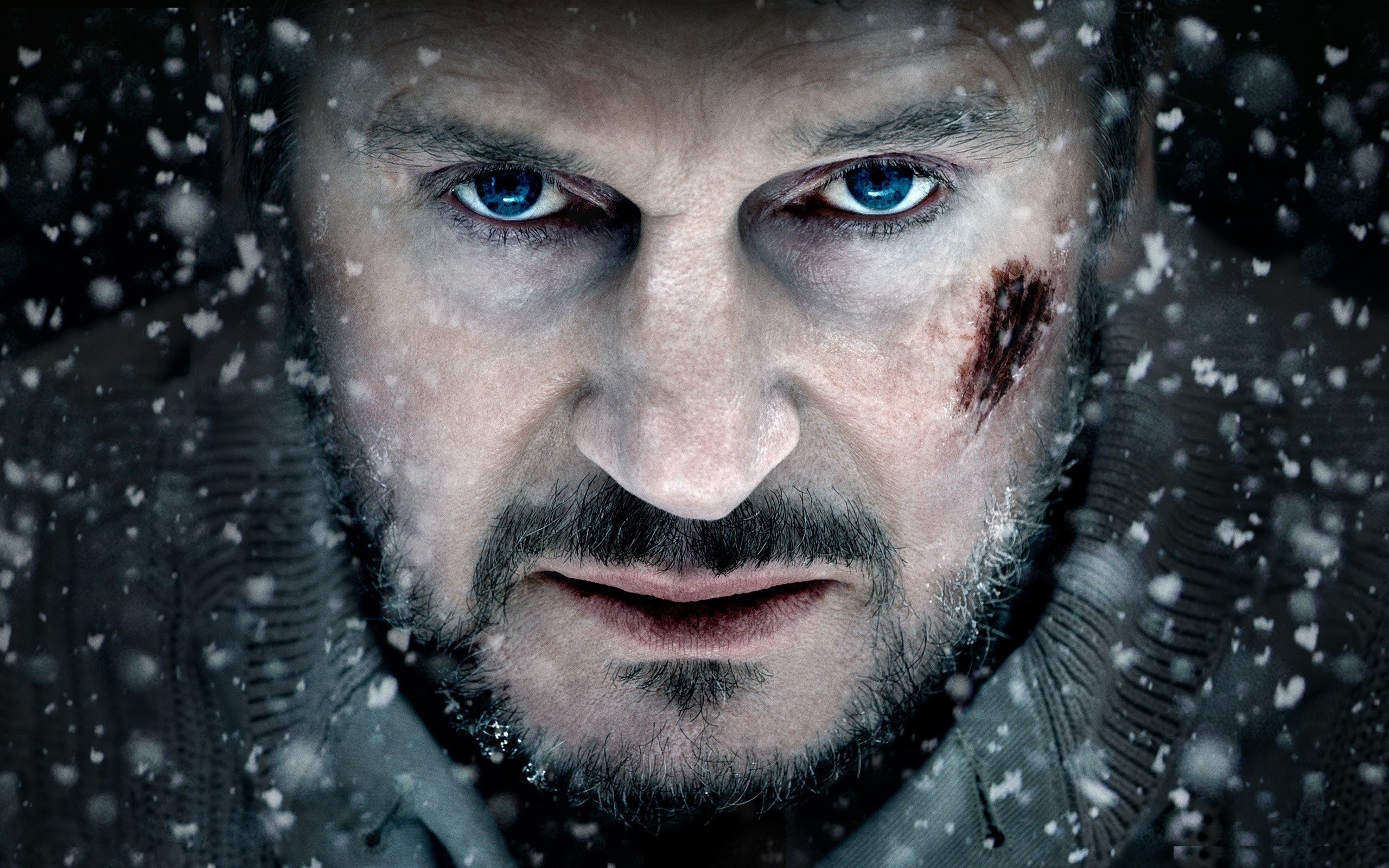 Laden Sie Liam Neeson HD-Desktop-Hintergründe herunter