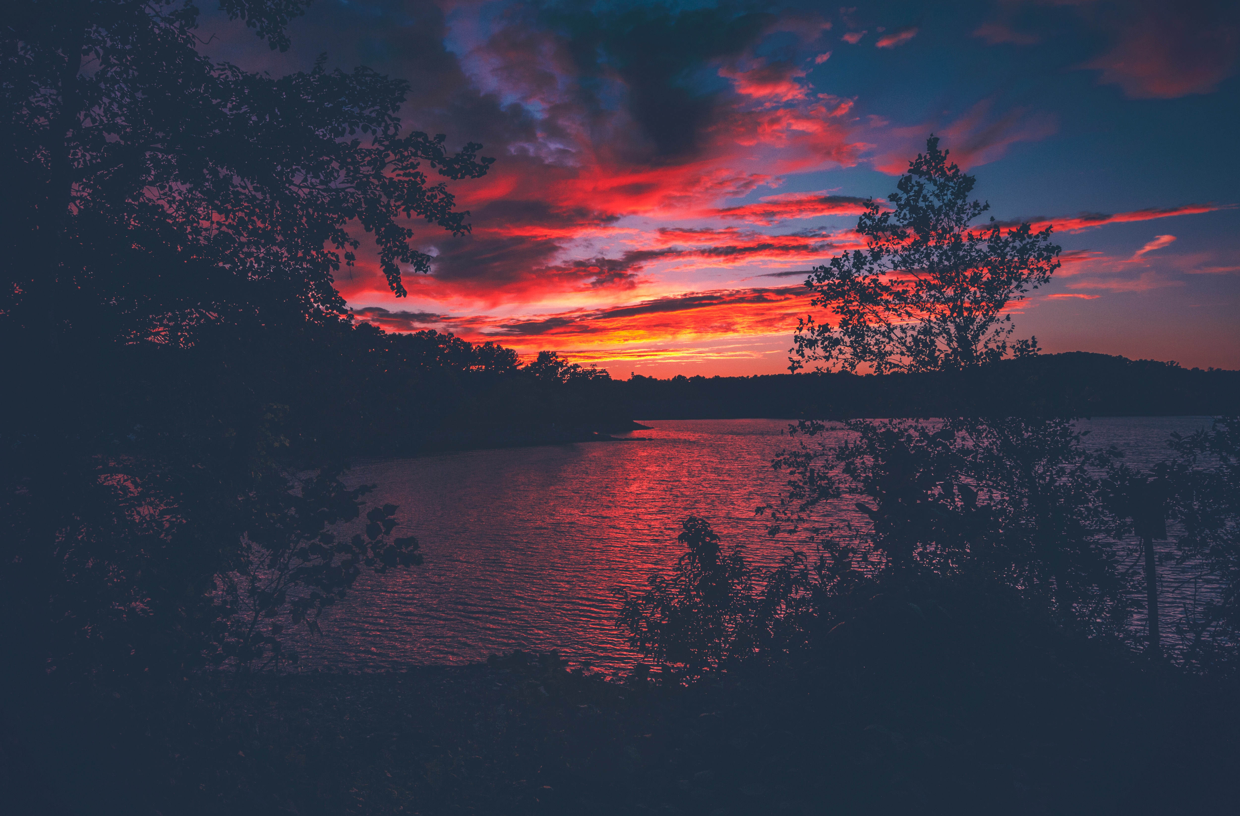 Free download wallpaper Lanier, Trees, Lake, Sunset, Dark on your PC desktop