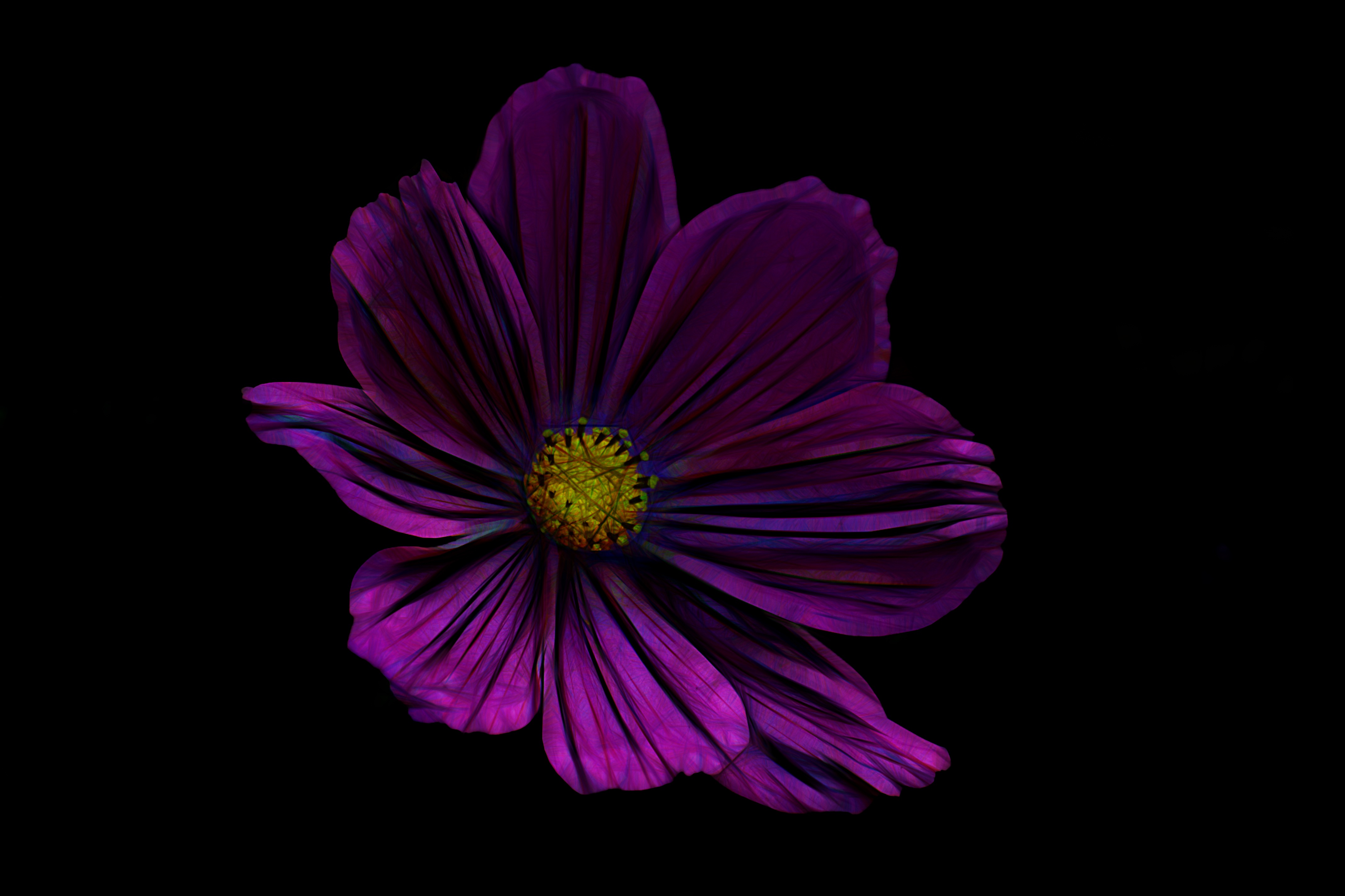 Download mobile wallpaper Flowers, Flower, Painting, Artistic, Anemone, Purple Flower for free.