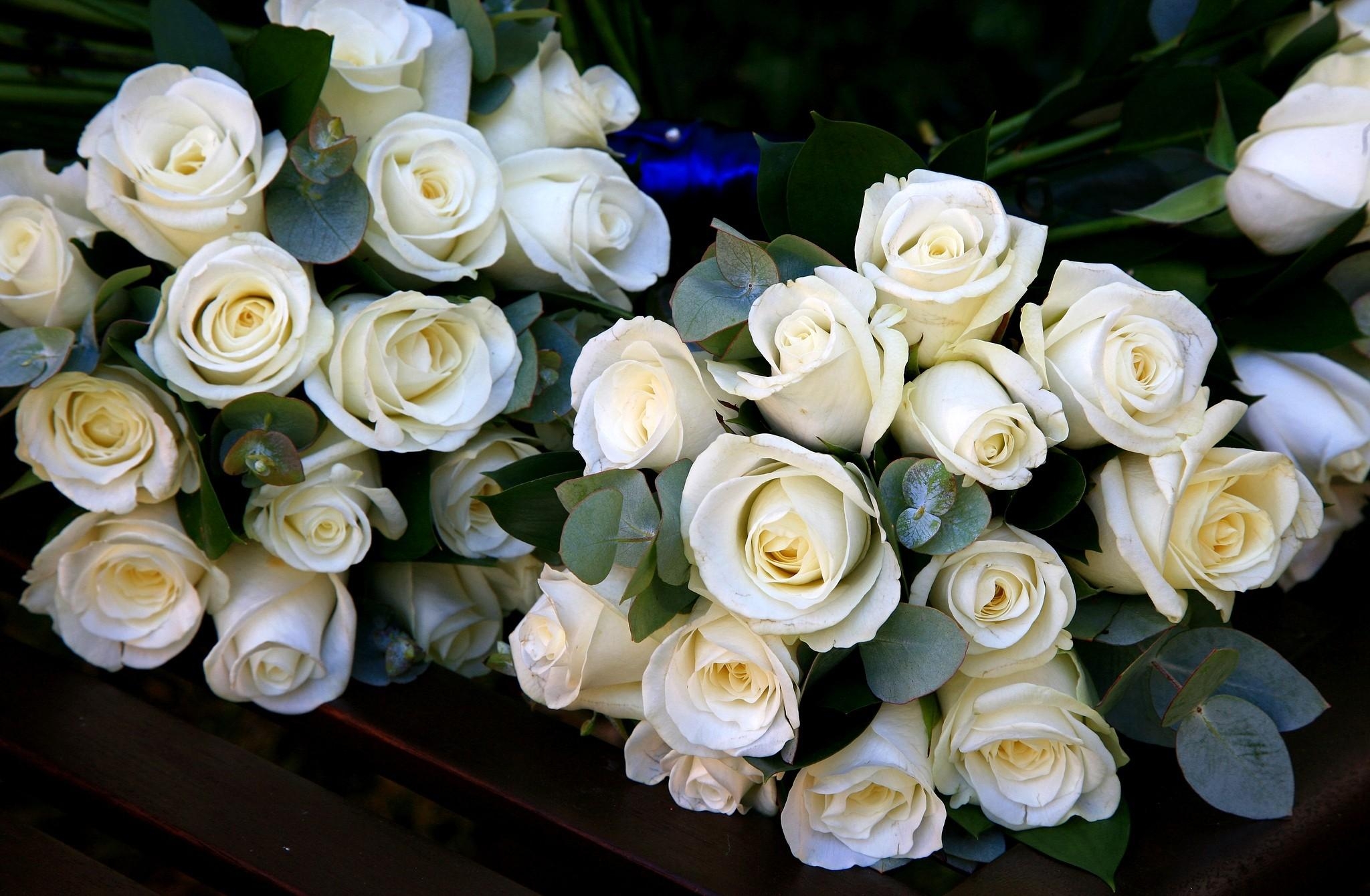106426 Bild herunterladen blumen, roses, bouquets, weiß, hübsch, es ist wunderschön - Hintergrundbilder und Bildschirmschoner kostenlos