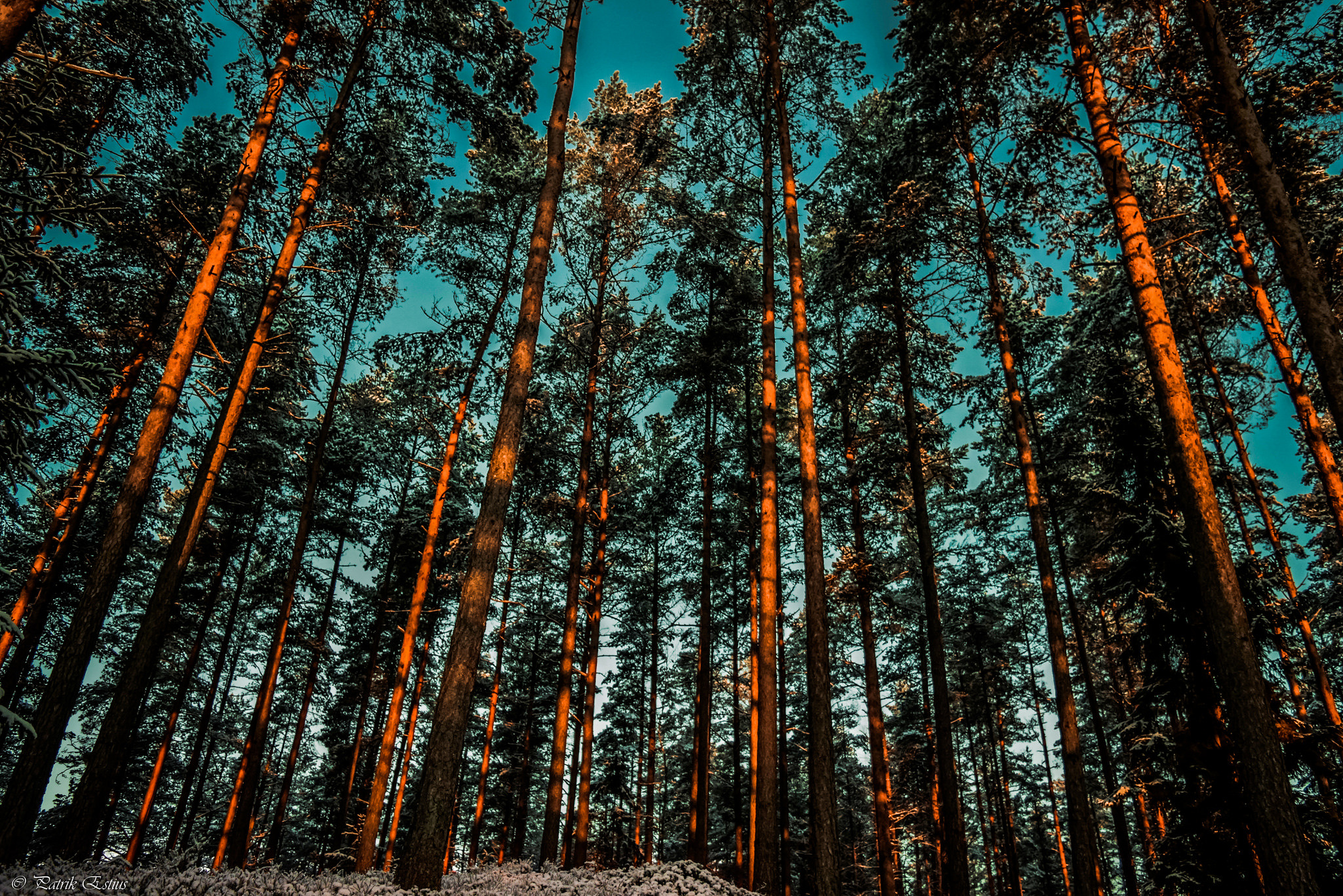 Free download wallpaper Shadow, Trees, Nature, Forest on your PC desktop