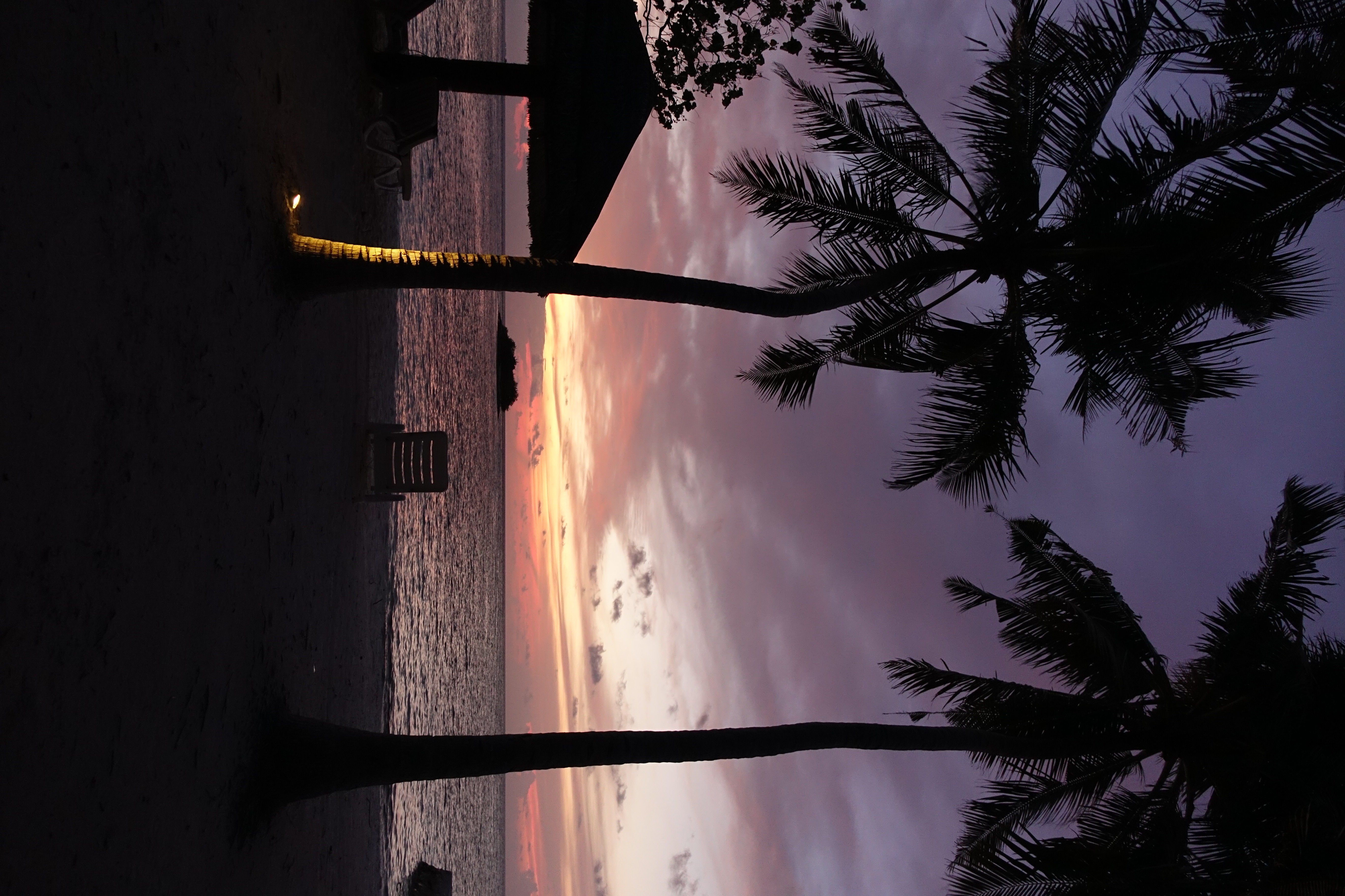 Download mobile wallpaper Chair, Dusk, Twilight, Nature, Sea, Palms, Beach for free.