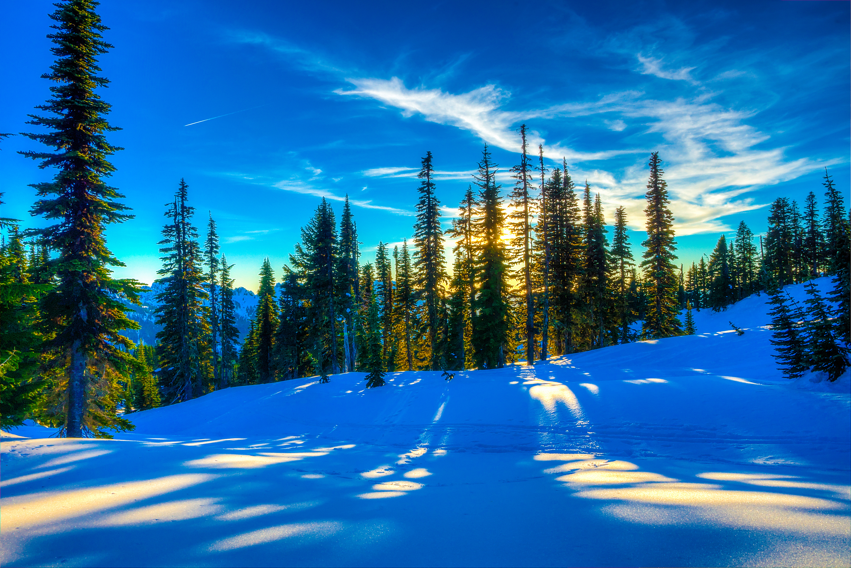 Download mobile wallpaper Winter, Sunset, Sun, Pine, Snow, Tree, Earth for free.