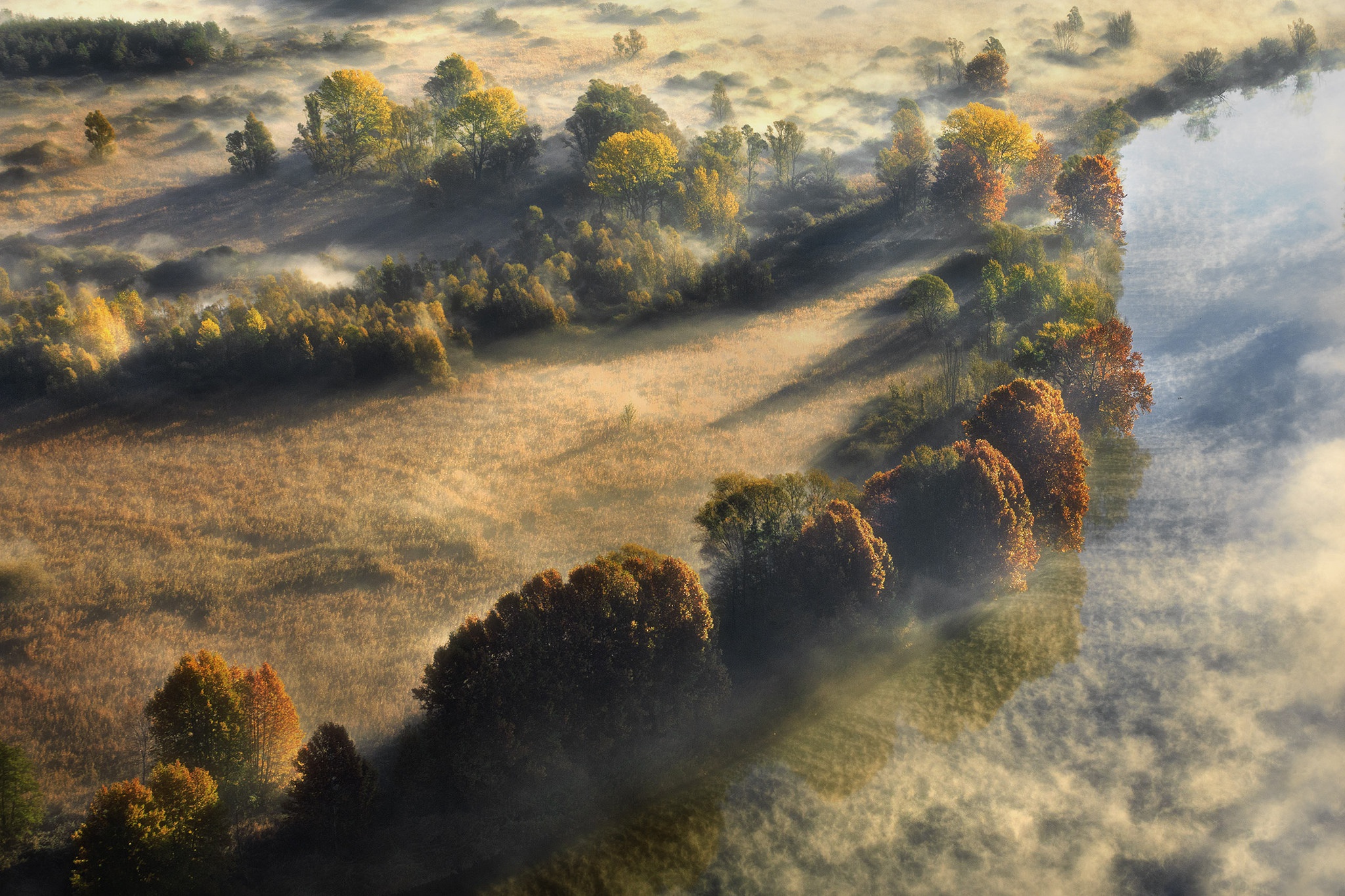 Descarga gratis la imagen Naturaleza, Árbol, Niebla, Soleado, Tierra/naturaleza, Fotografía Aérea en el escritorio de tu PC