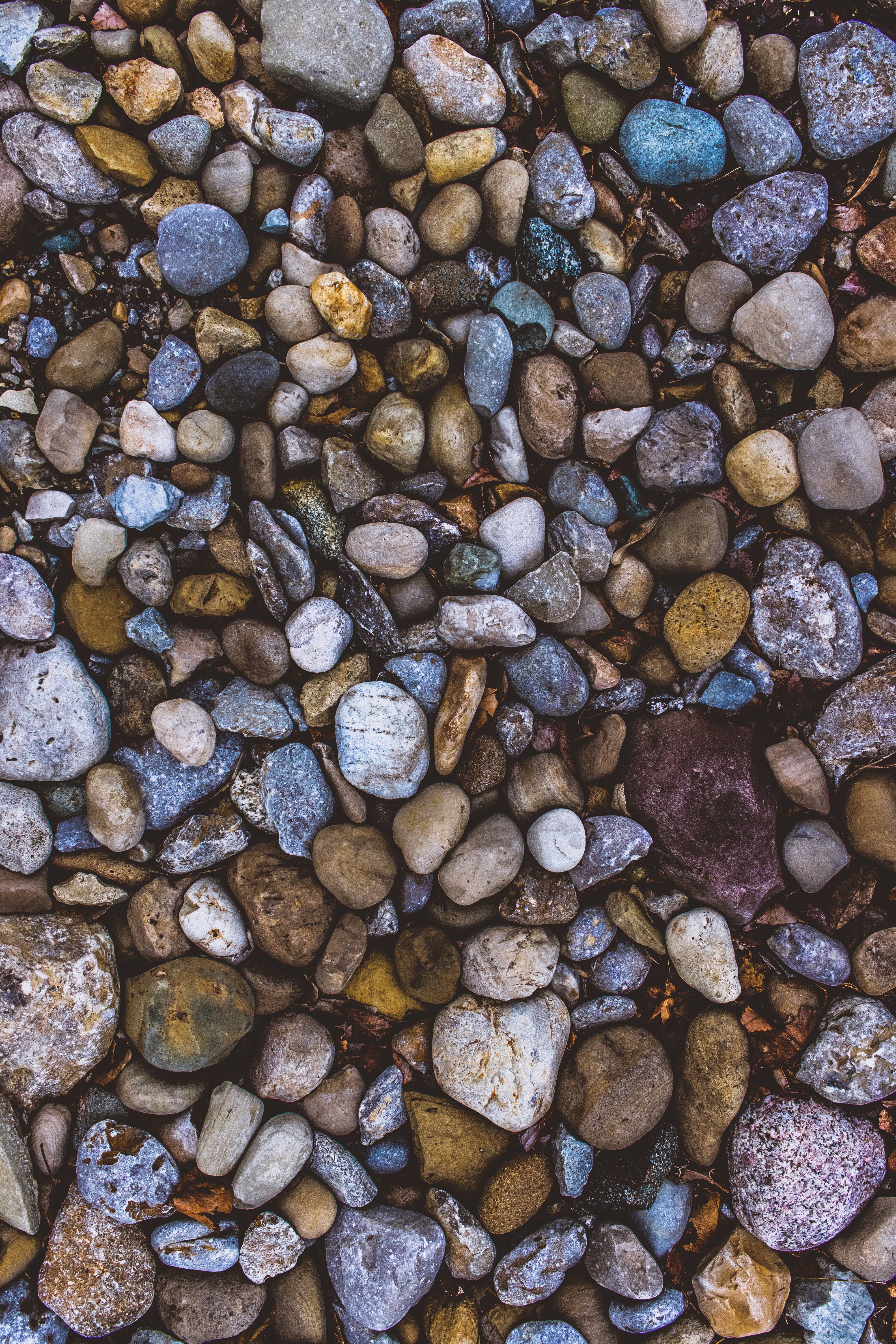 stones, forms, pebble, form, nature, sea, marine phone background