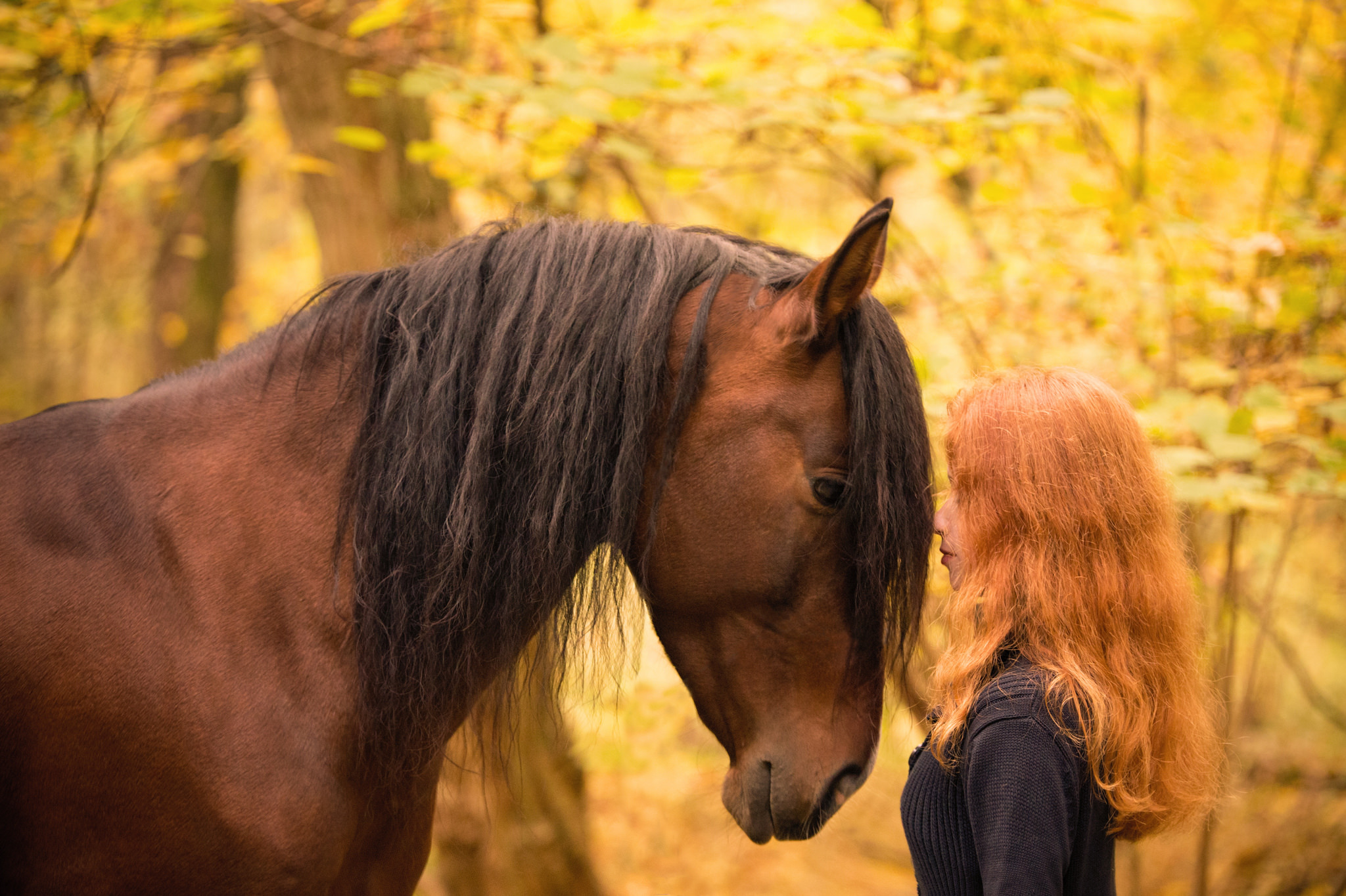 Download mobile wallpaper Animal, Redhead, Mood, Horse for free.