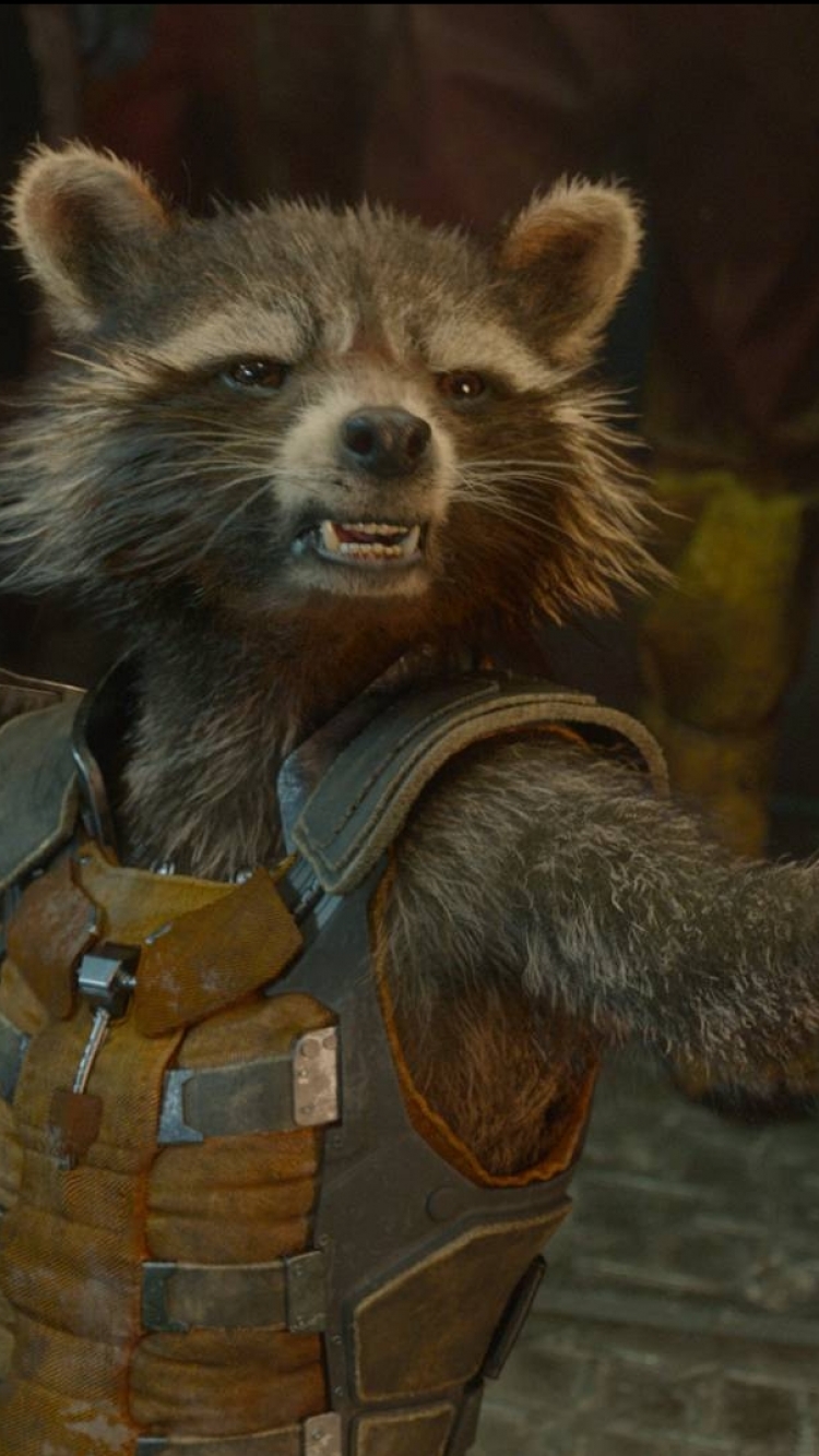 Download mobile wallpaper Movie, Guardians Of The Galaxy, Rocket Raccoon for free.