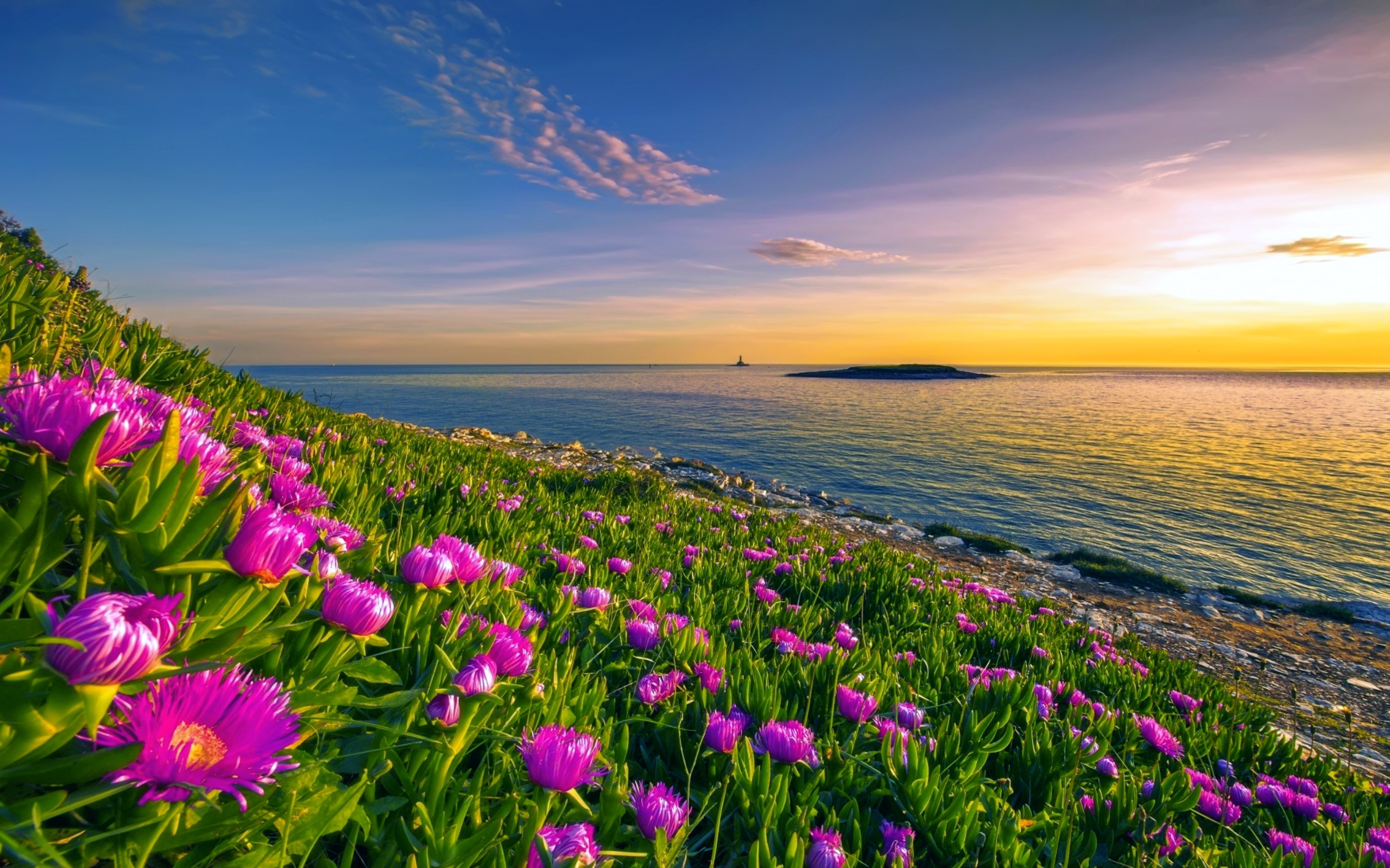 Free download wallpaper Sea, Horizon, Flower, Coast, Ocean, Earth, Coastline, Pink Flower on your PC desktop