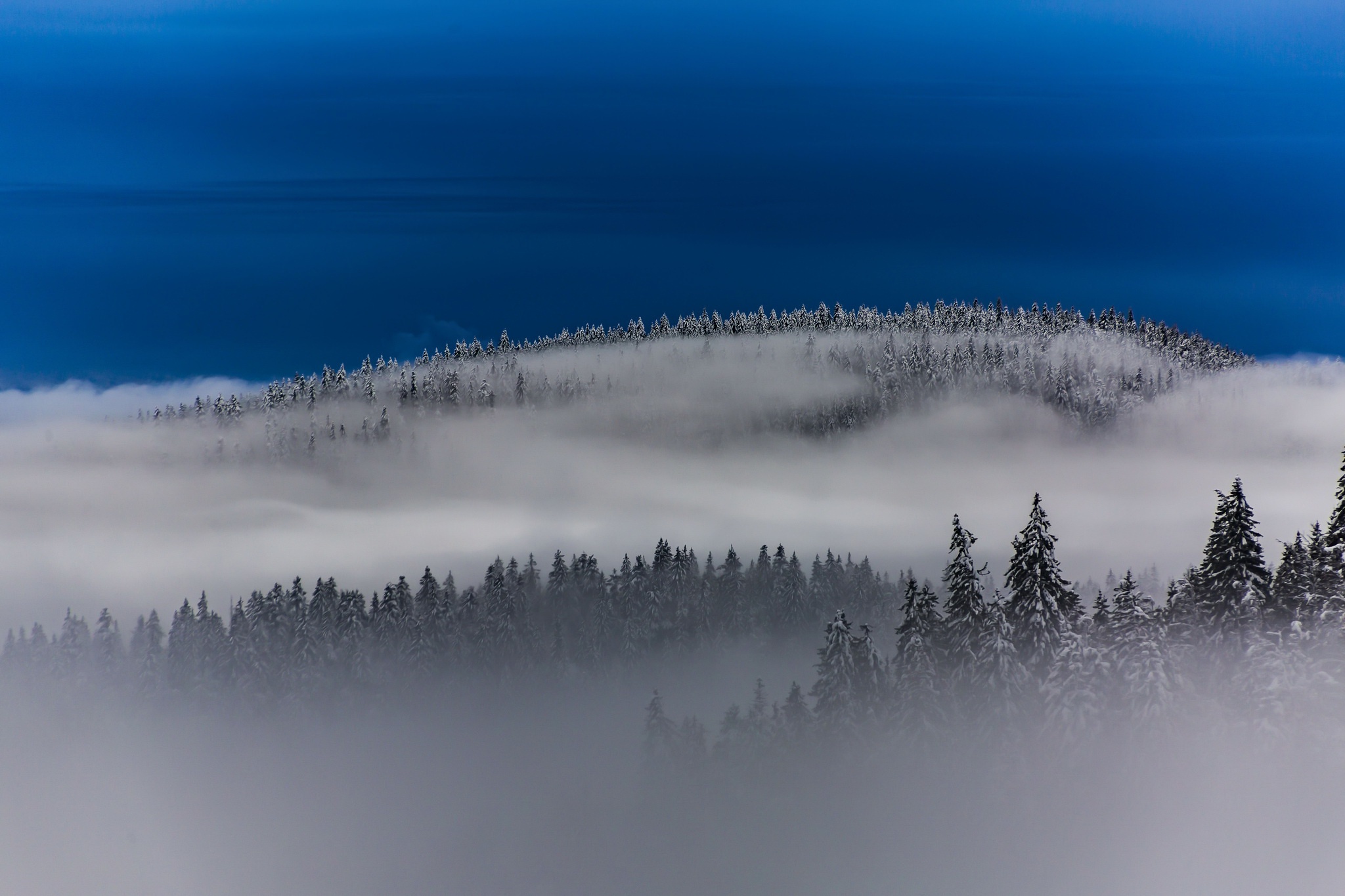 Download mobile wallpaper Landscape, Winter, Nature, Forest, Tree, Fog, Earth for free.