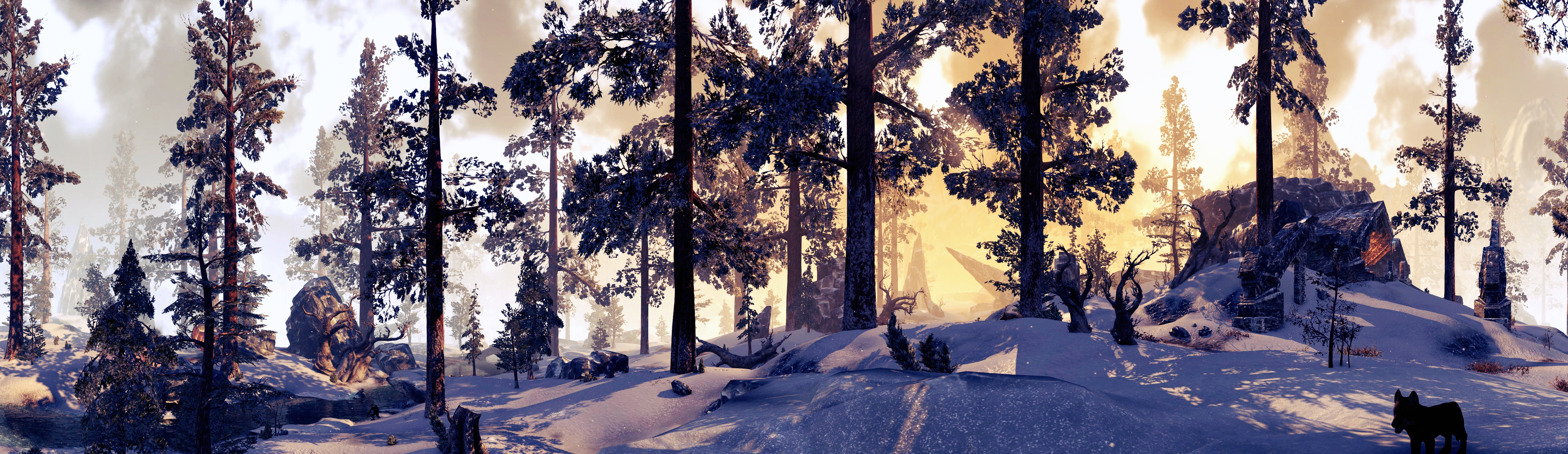 Download mobile wallpaper Snow, Wood, Forest, Tree, Video Game, The Elder Scrolls Online for free.