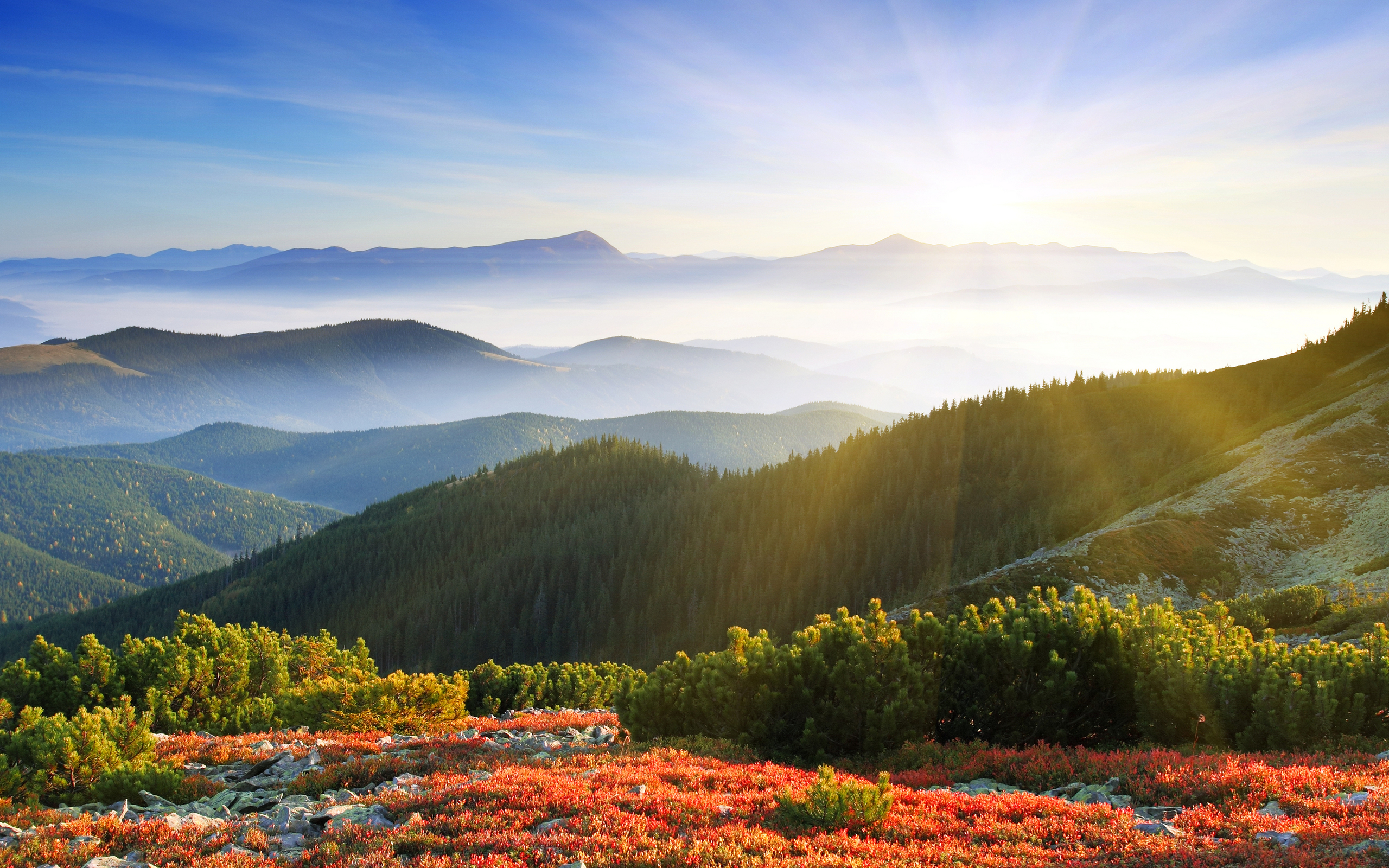 Free download wallpaper Landscape, Nature, Mountain, Forest, Hdr, Photography, Sunbeam on your PC desktop