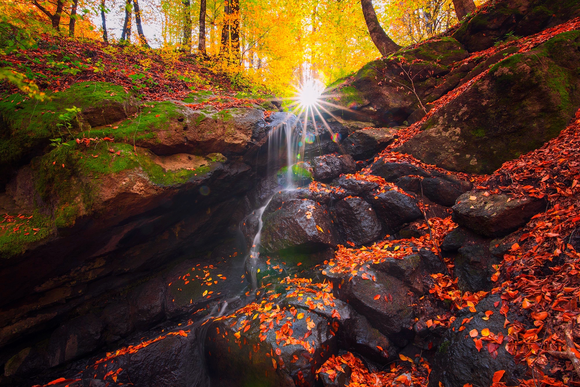 Download mobile wallpaper Nature, Fall, Earth, Stream, Sunbeam for free.