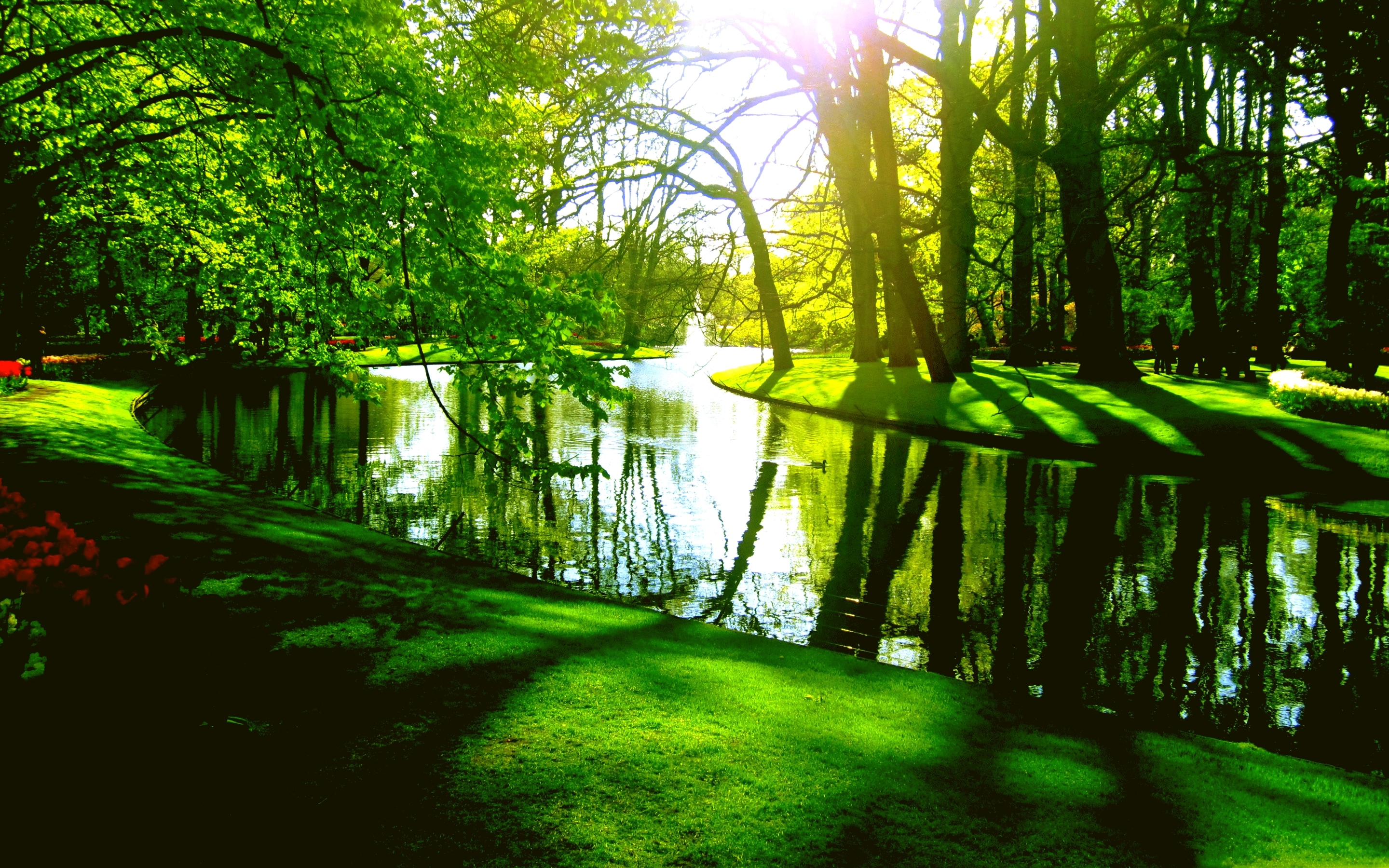 Скачать картинку Река, Парк, Дерево, Зеленый, Пруд, Весна, Фотографии в телефон бесплатно.