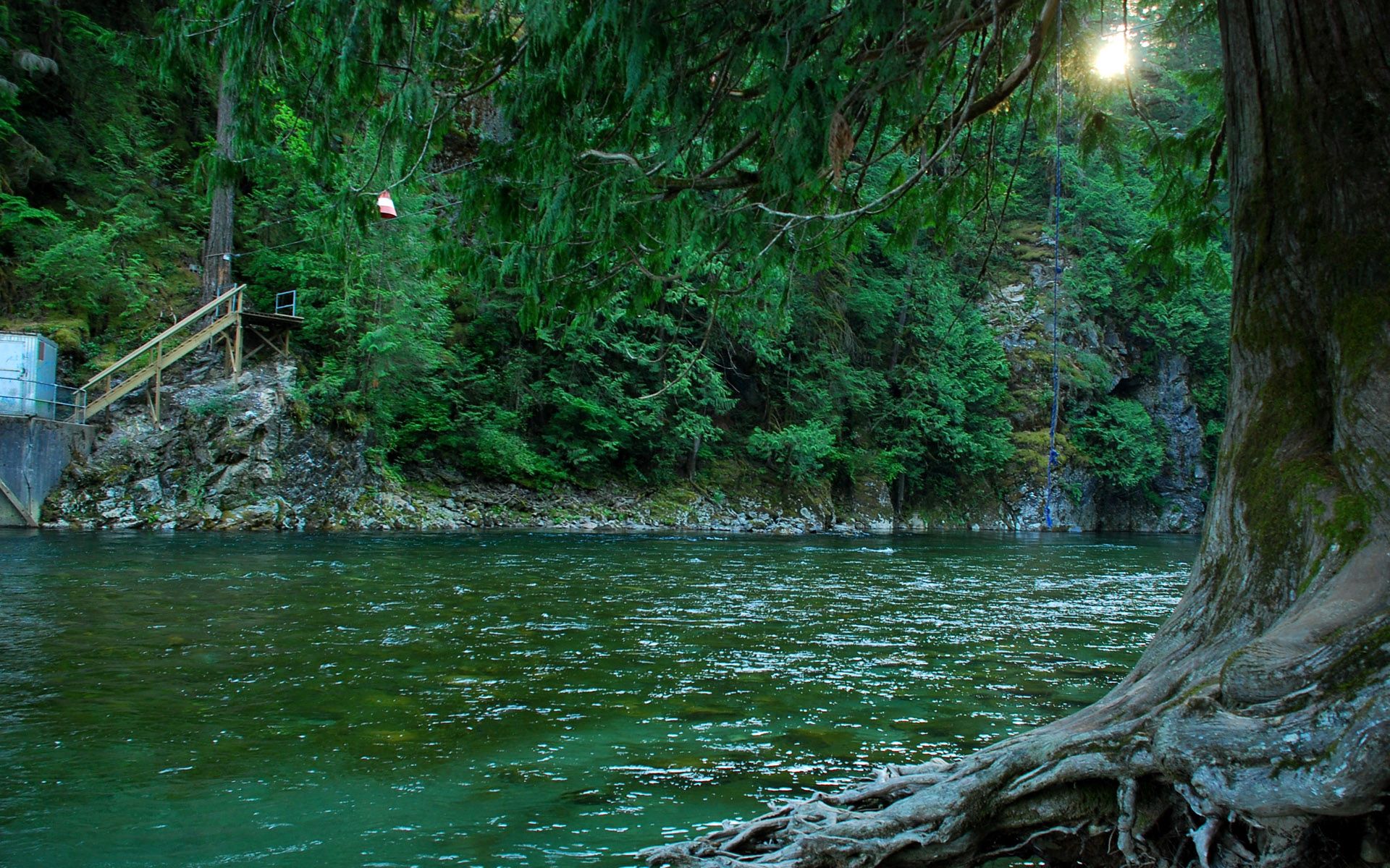 Скачать картинку Река, Лес, Природа, Канада в телефон бесплатно.