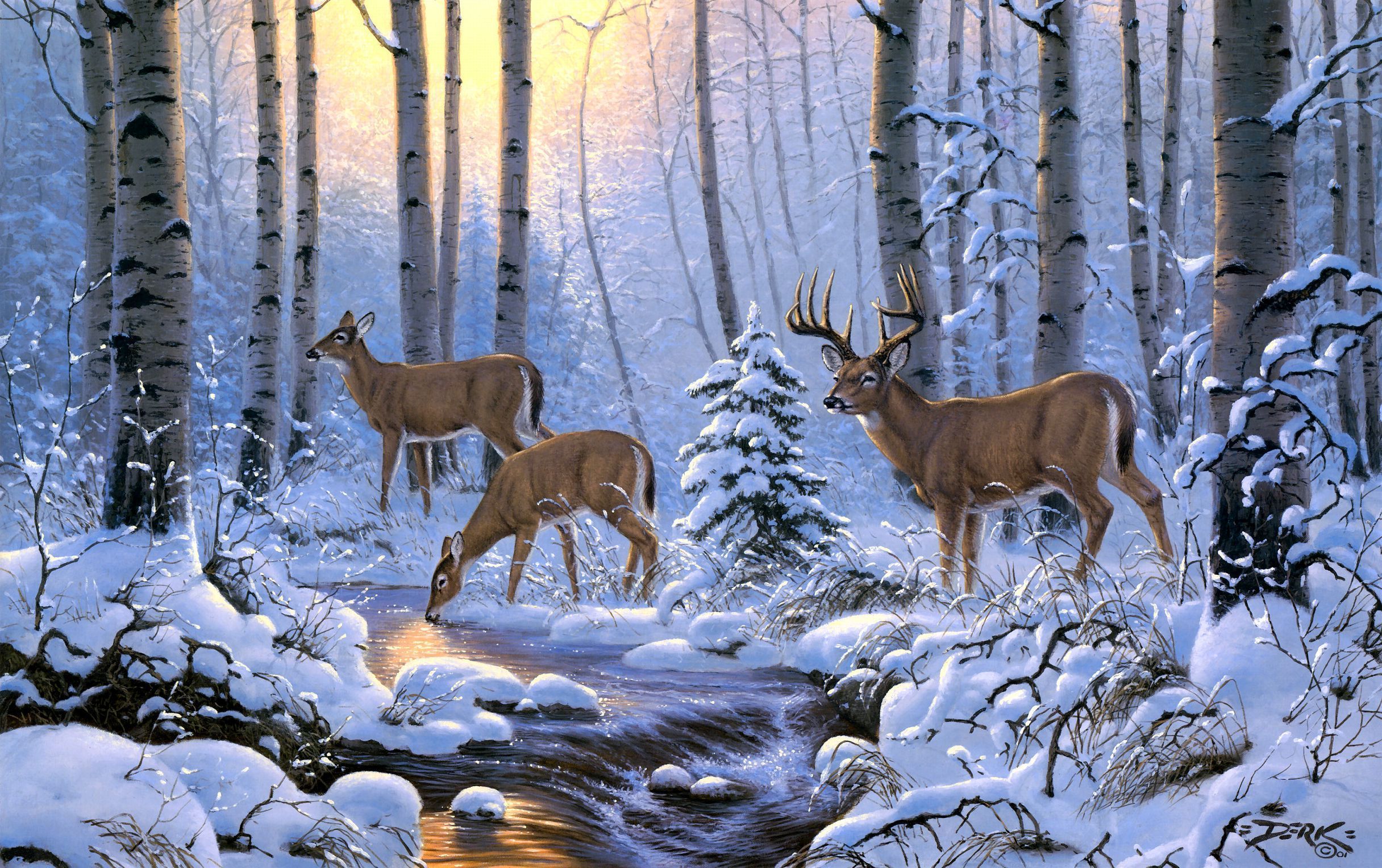 Download mobile wallpaper Animal, Deer for free.