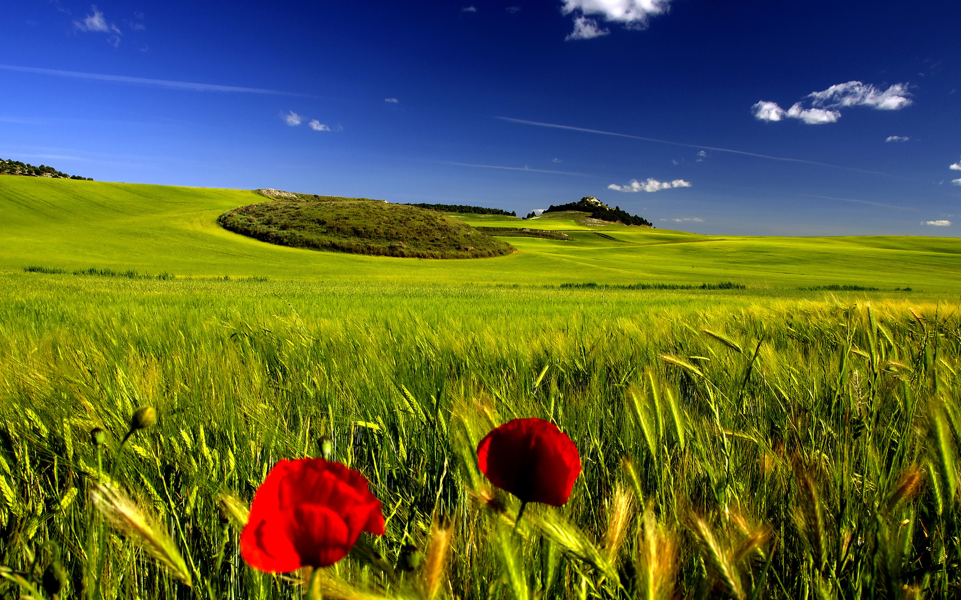 Free download wallpaper Landscape, Earth on your PC desktop