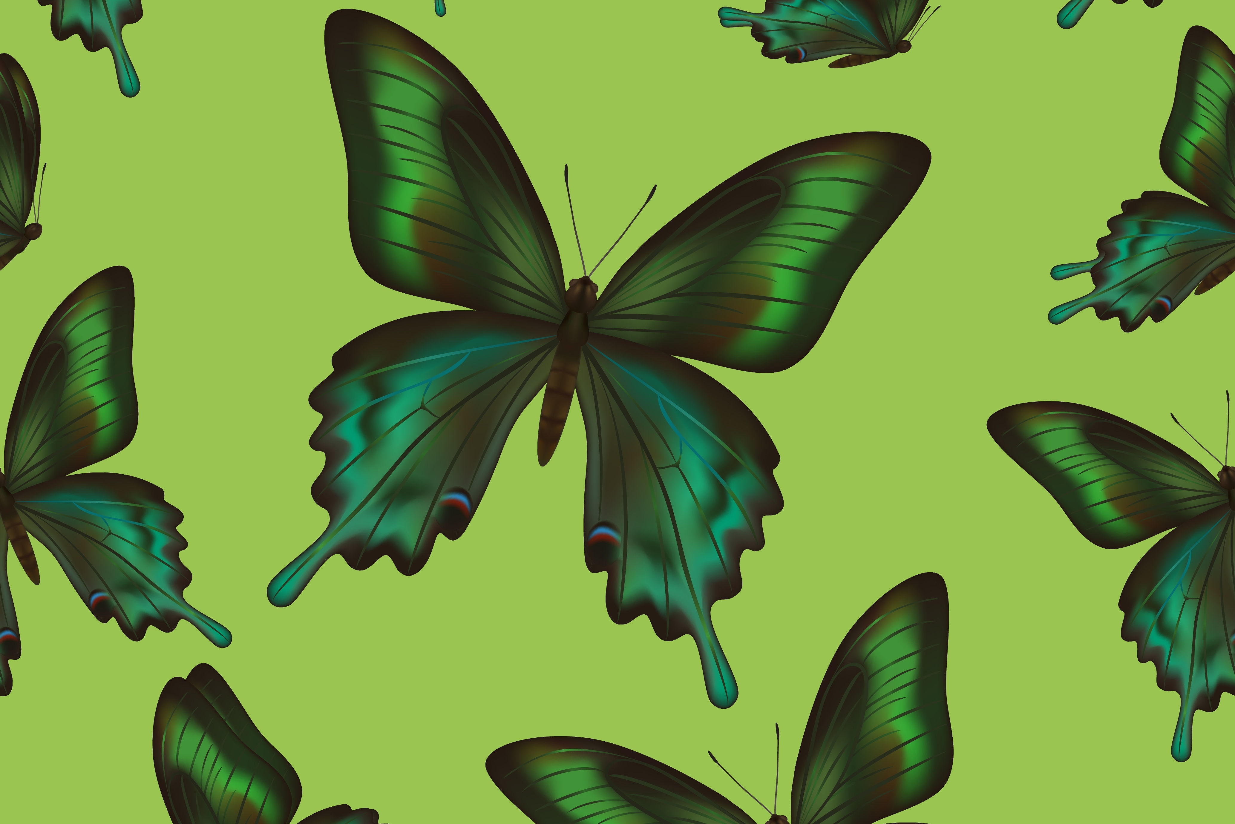 Скачать обои бесплатно Бабочка, Зеленый, Художественные картинка на рабочий стол ПК