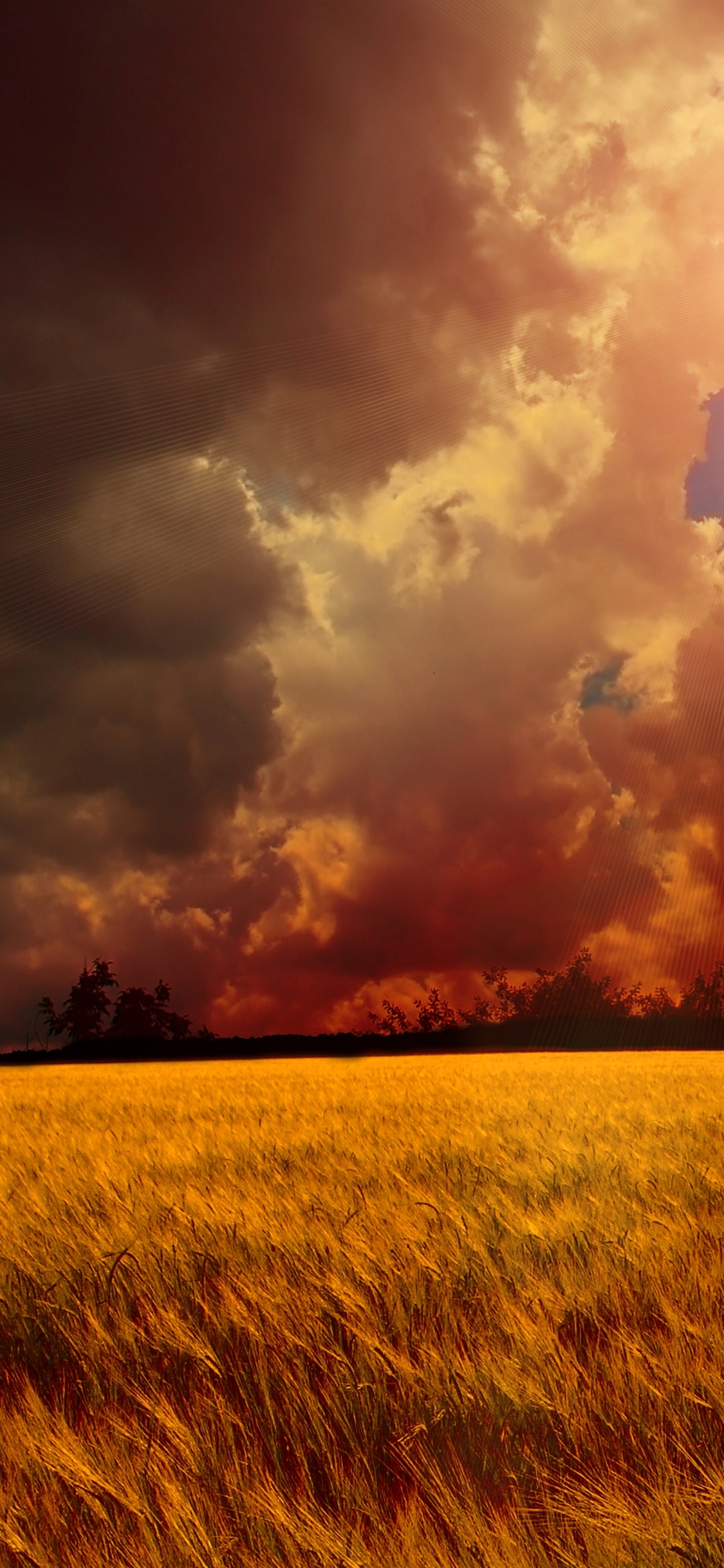 Download mobile wallpaper Wheat, Earth, Field, Cloud, Manipulation for free.