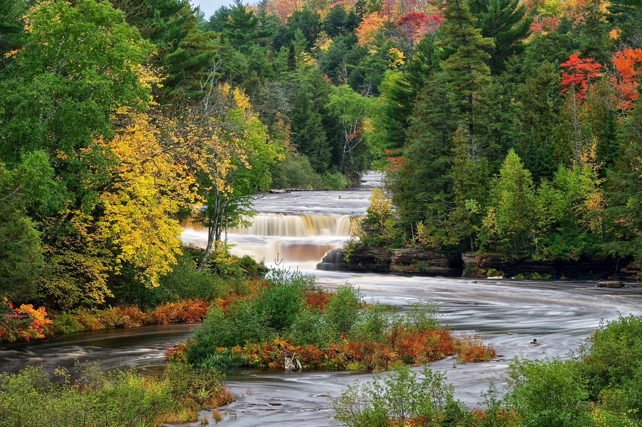 Free download wallpaper Nature, Forest, Tree, Earth, River on your PC desktop