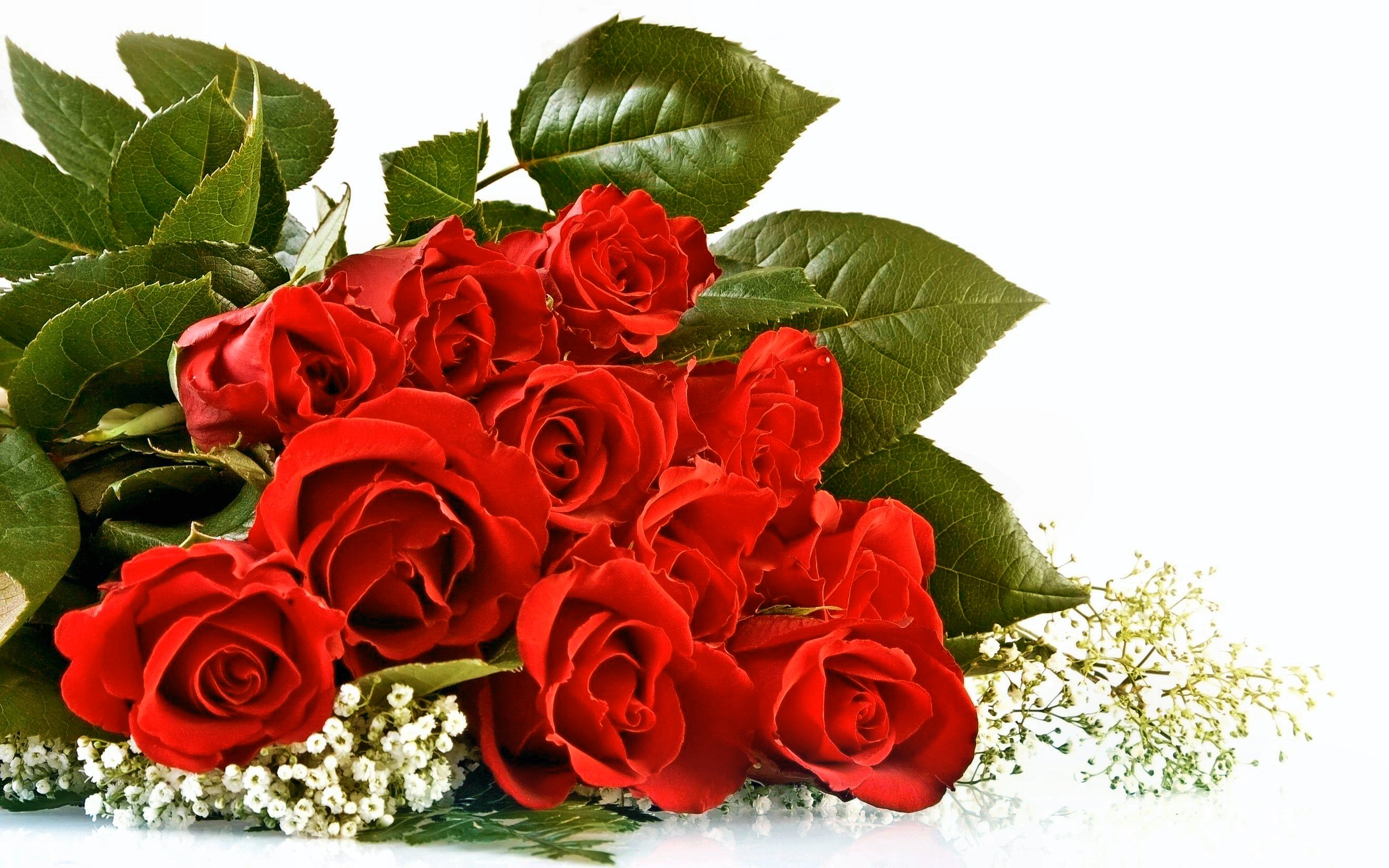 351026 télécharger le fond d'écran fleur rouge, saint valentin, bouquet, rose, fleurs, feuille, rose rouge, terre/nature, fleur - économiseurs d'écran et images gratuitement