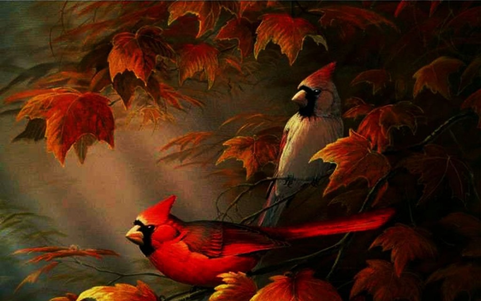 Free download wallpaper Bird, Fall, Branch, Animal, Cardinal on your PC desktop