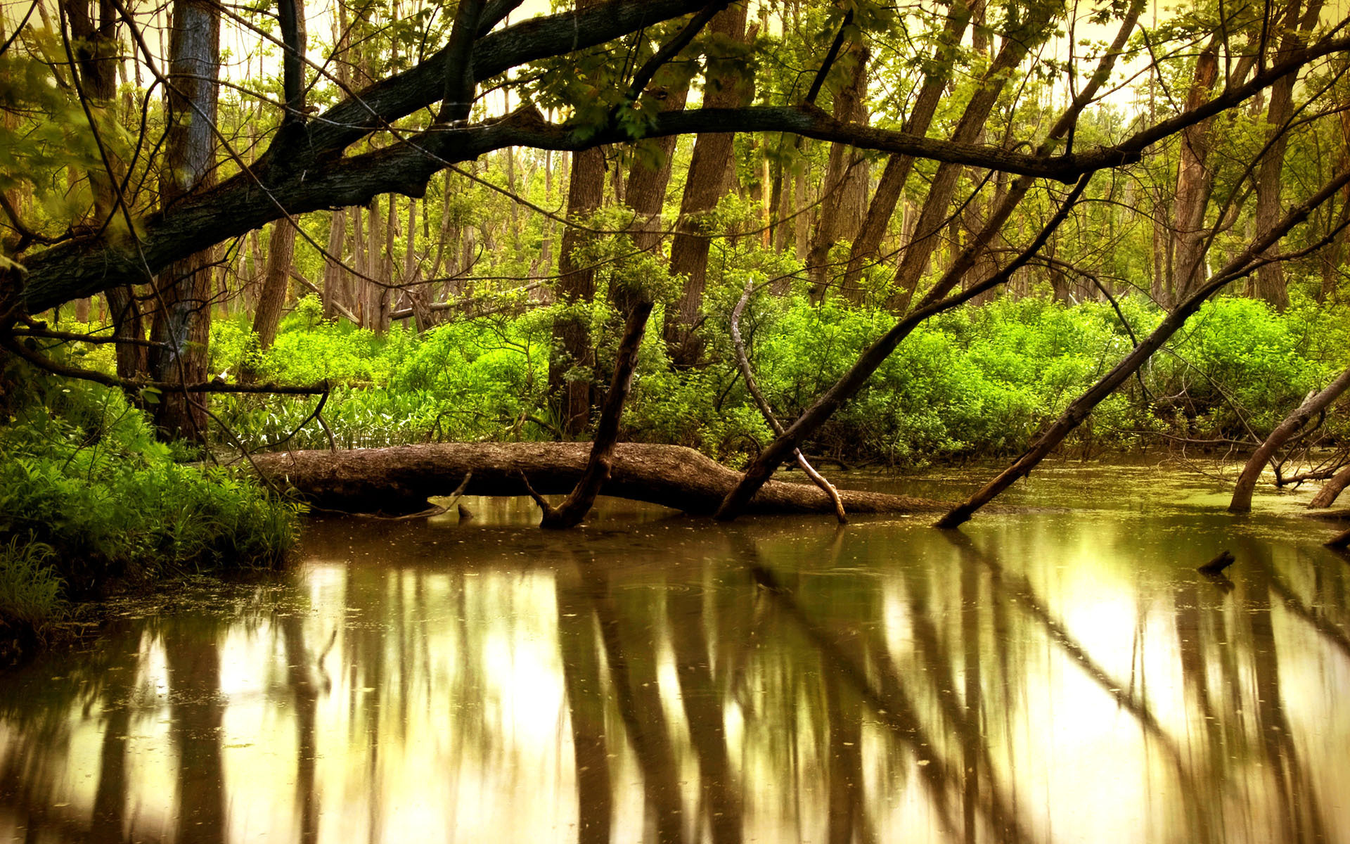 Baixar papel de parede para celular de Paisagem, Terra/natureza gratuito.