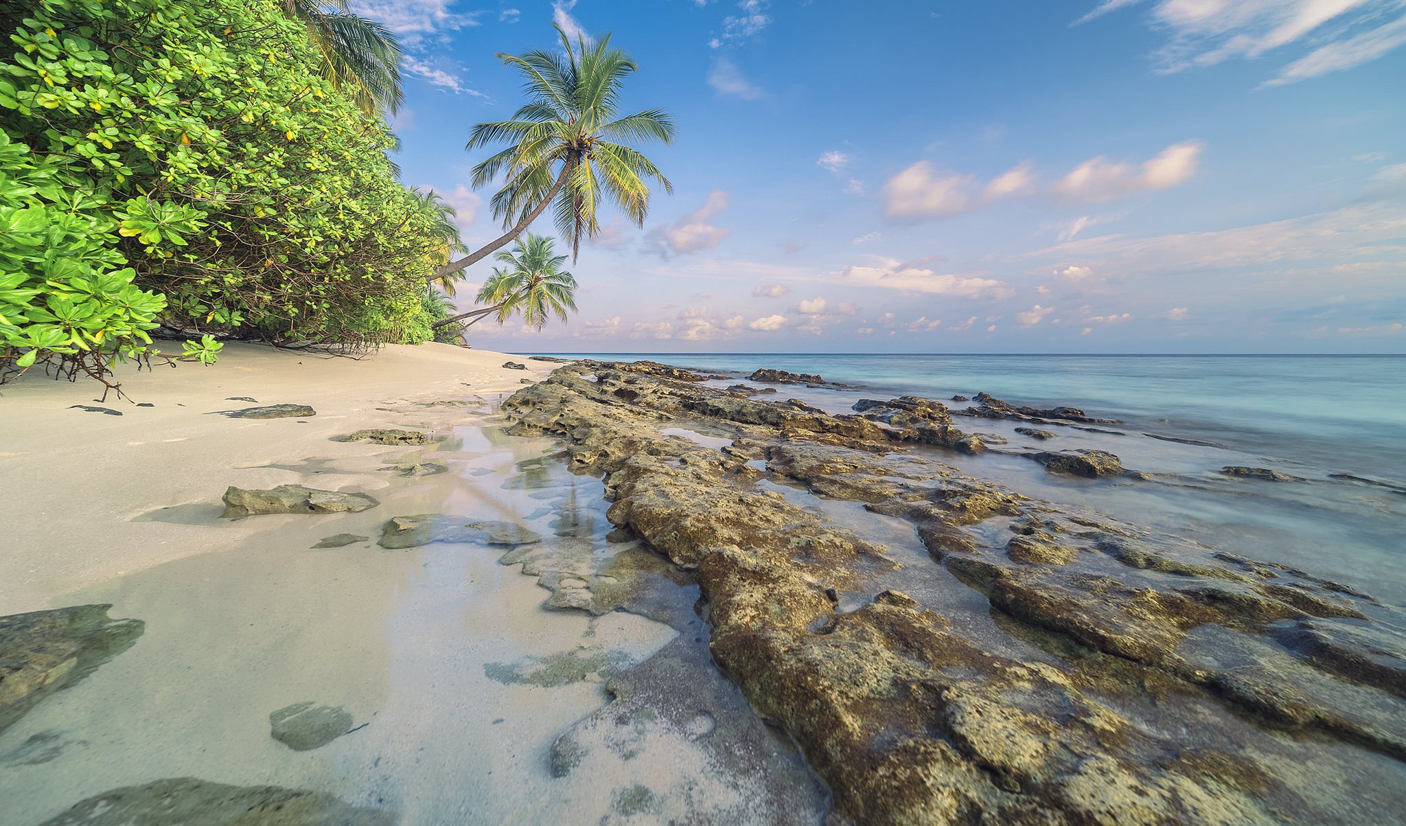 Descarga gratis la imagen Naturaleza, Playa, Horizonte, Océano, Tierra/naturaleza, Palmera, Tropico en el escritorio de tu PC