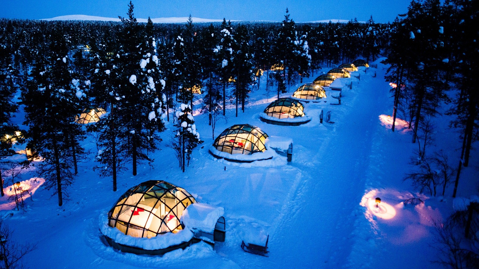 kakslauttanen arctic resort, man made, igloo, finland, saariselkä, tree