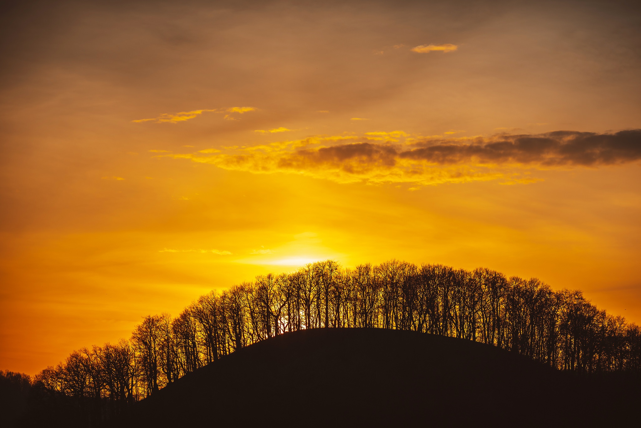 Free download wallpaper Nature, Sky, Tree, Sunrise, Earth on your PC desktop