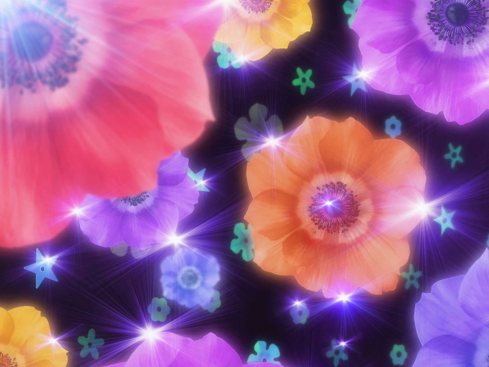 Free download wallpaper Flowers, Flower, Colors, Colorful, Artistic, Sparkles on your PC desktop