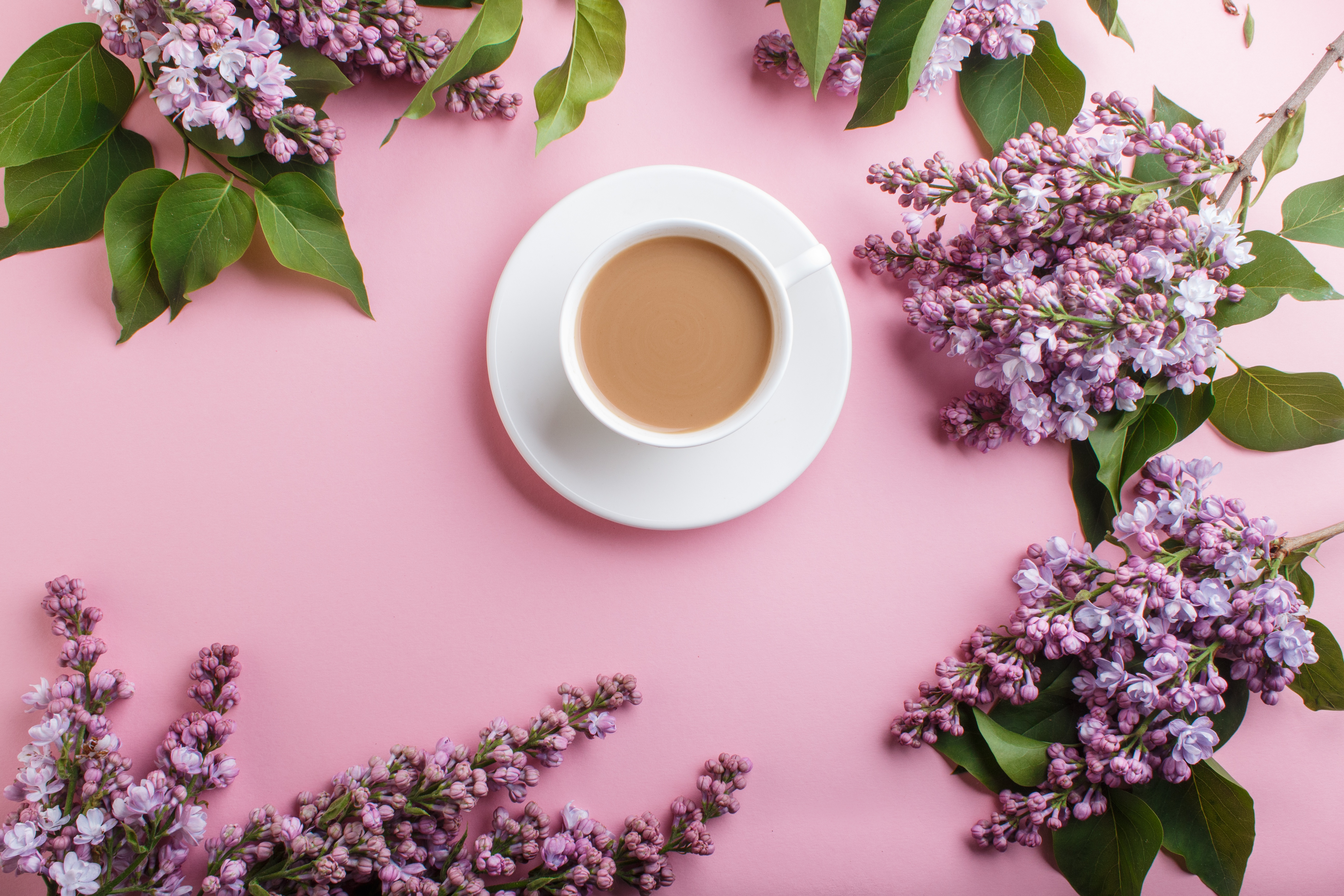 Handy-Wallpaper Blume, Tasse, Nahrungsmittel, Pinke Blume, Kaffee, Flieder kostenlos herunterladen.