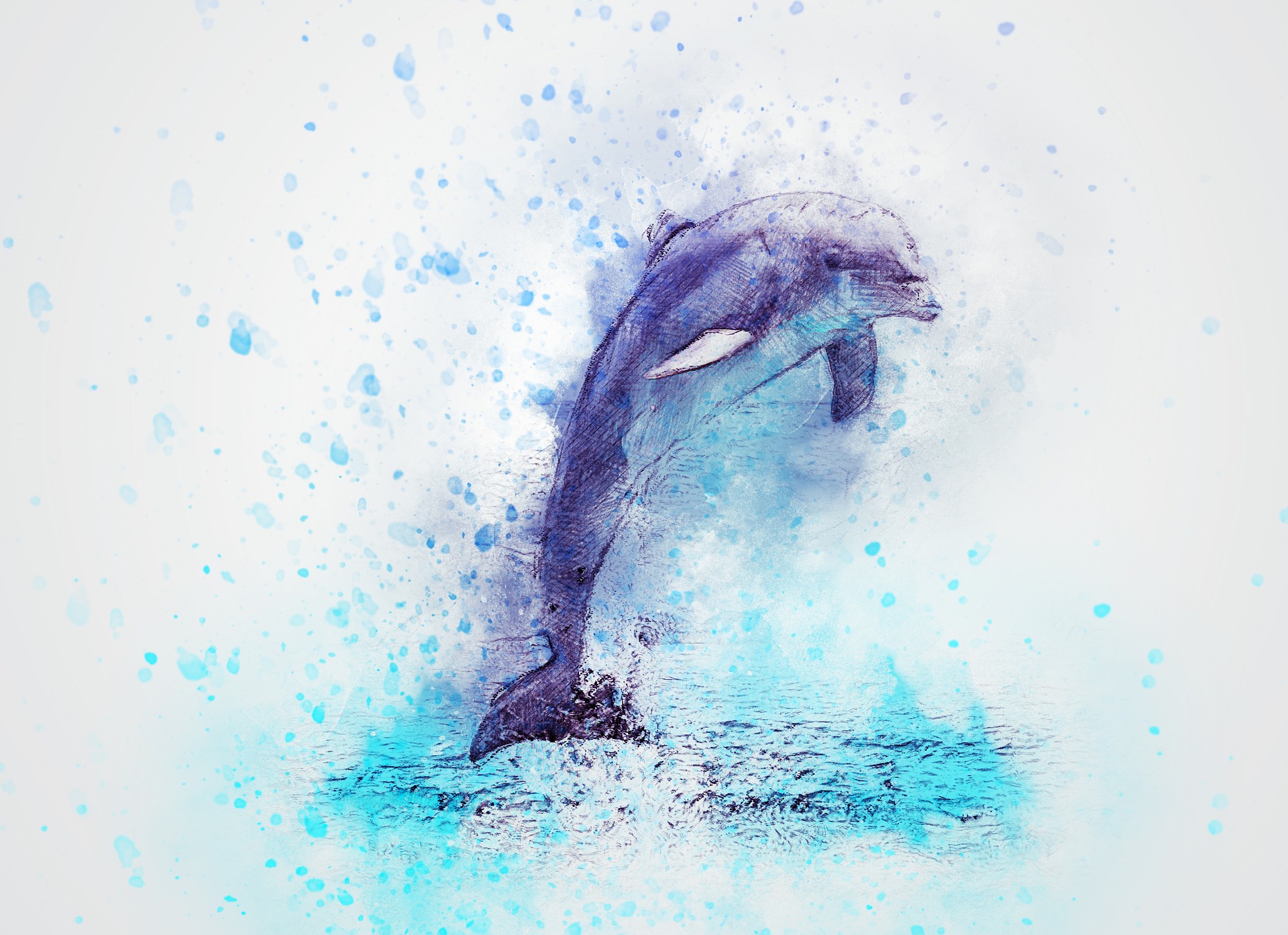 Download mobile wallpaper Animal, Jump, Dolphin for free.