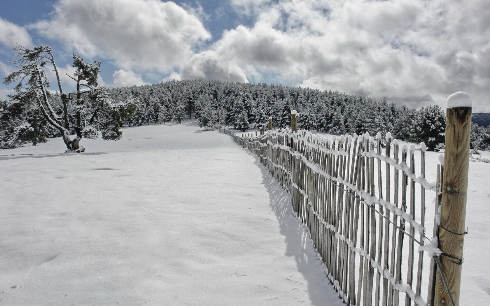 Handy-Wallpaper Winter, Schnee, Natur, Landschaft kostenlos herunterladen.