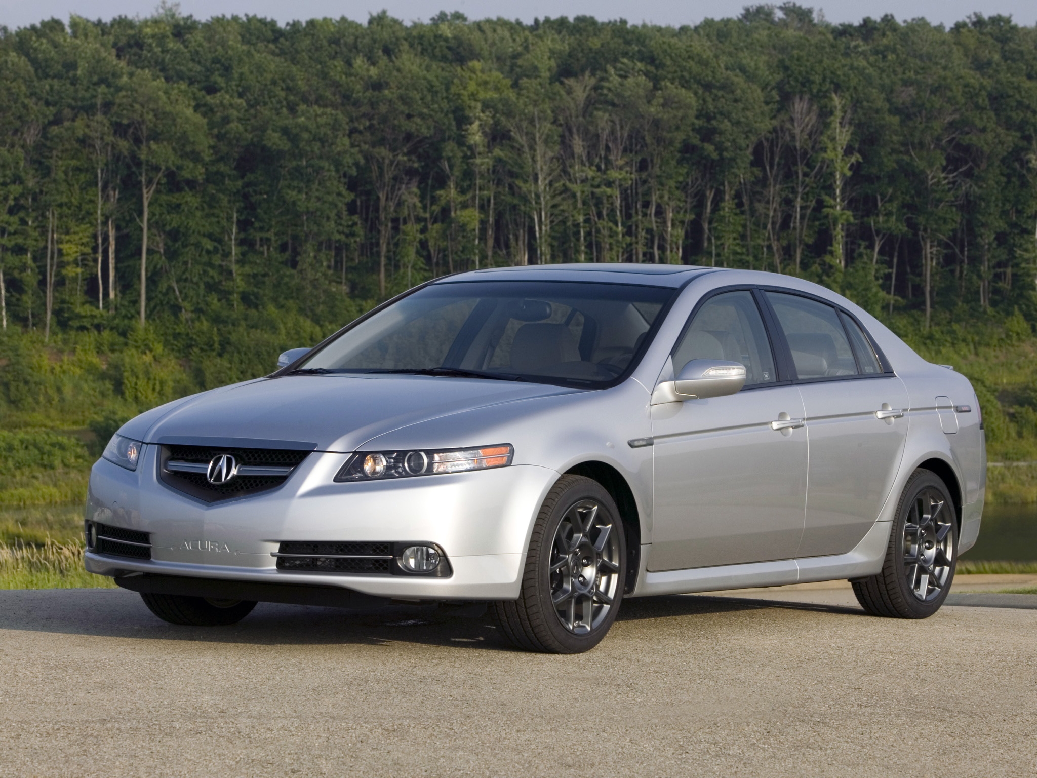 cars, auto, grass, acura, forest, front view, style, akura, shrubs, tl, 2007, silver metallic Full HD