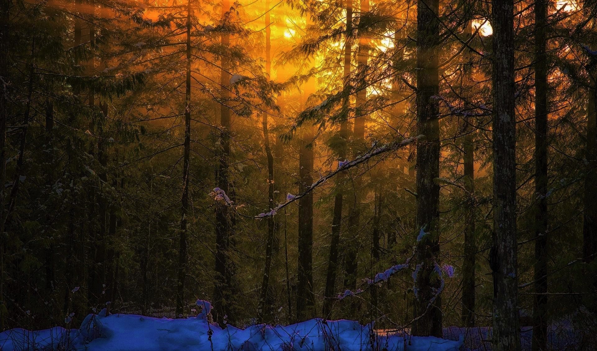 Téléchargez gratuitement l'image Forêt, Soleil, L'hiver, Terre/nature, Neiger, Le Coucher Du Soleil sur le bureau de votre PC