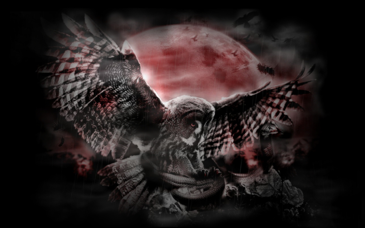 Free download wallpaper Fantasy, Gothic, Owl, Moon, Dark, Bird, Animal, Snake on your PC desktop