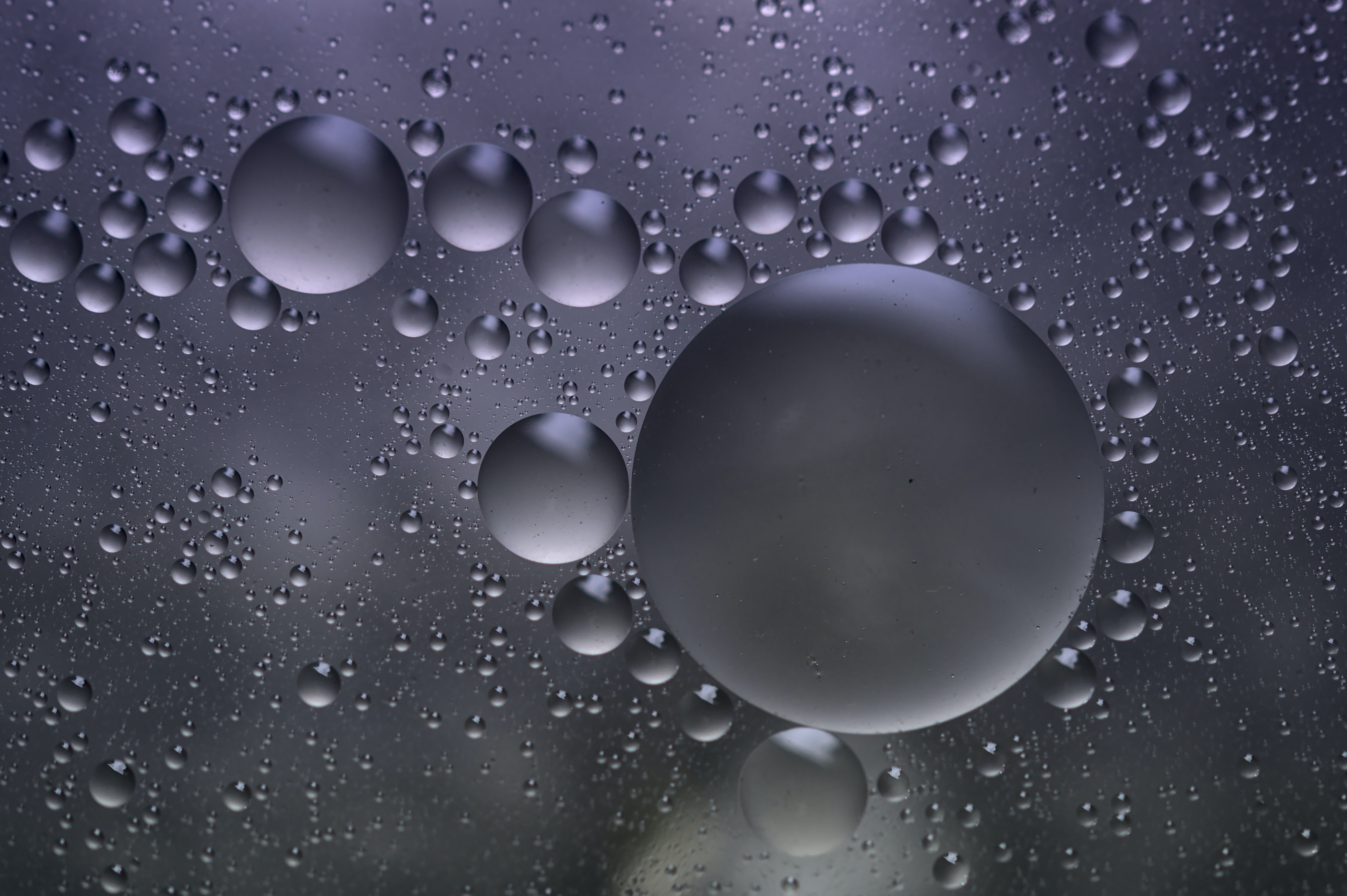 bubbles, round, abstract, grey, water