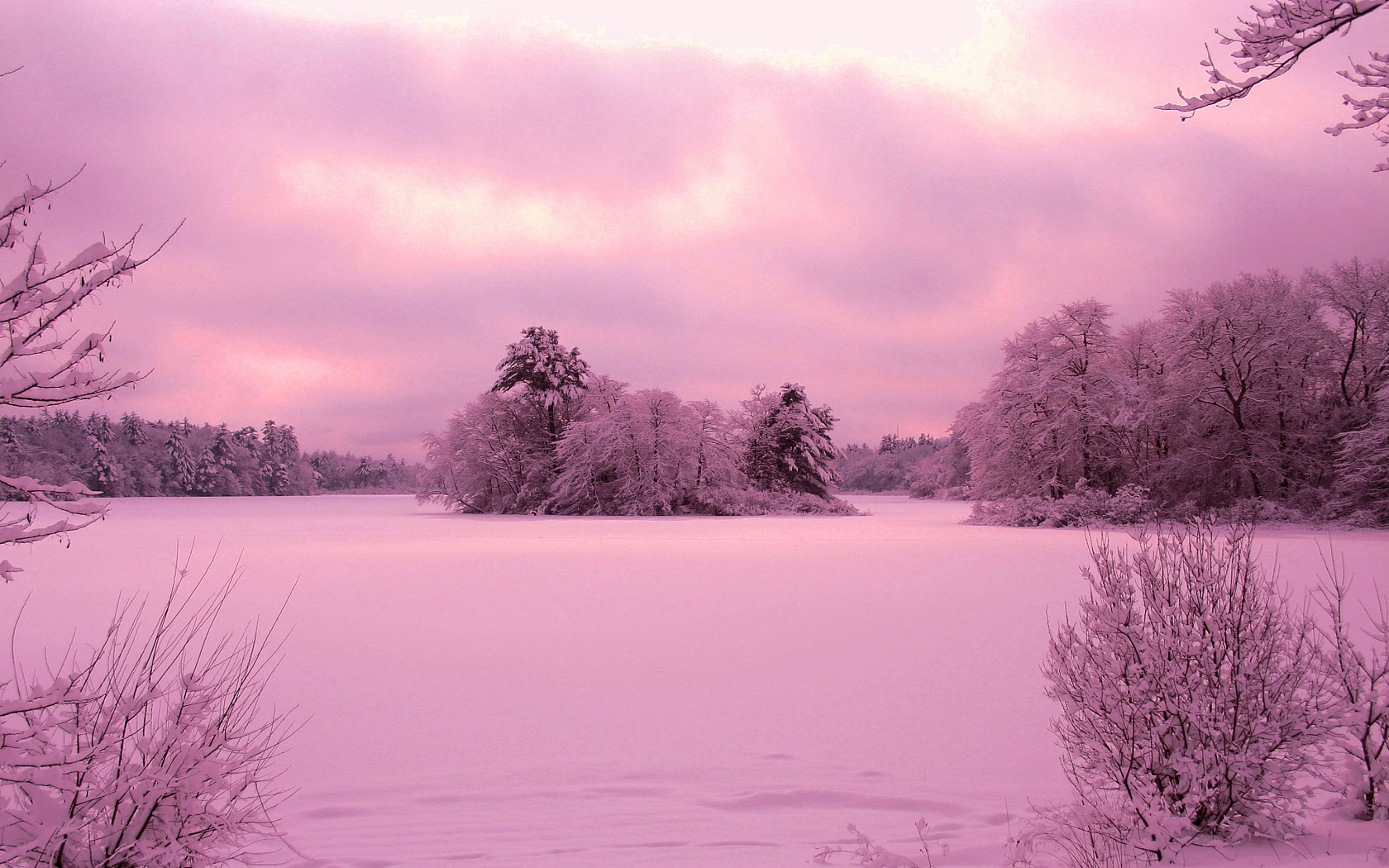 Скачать картинку Зима, Закат, Небо, Снег, Дерево, Ландшафт, Пурпурный, Земля/природа в телефон бесплатно.