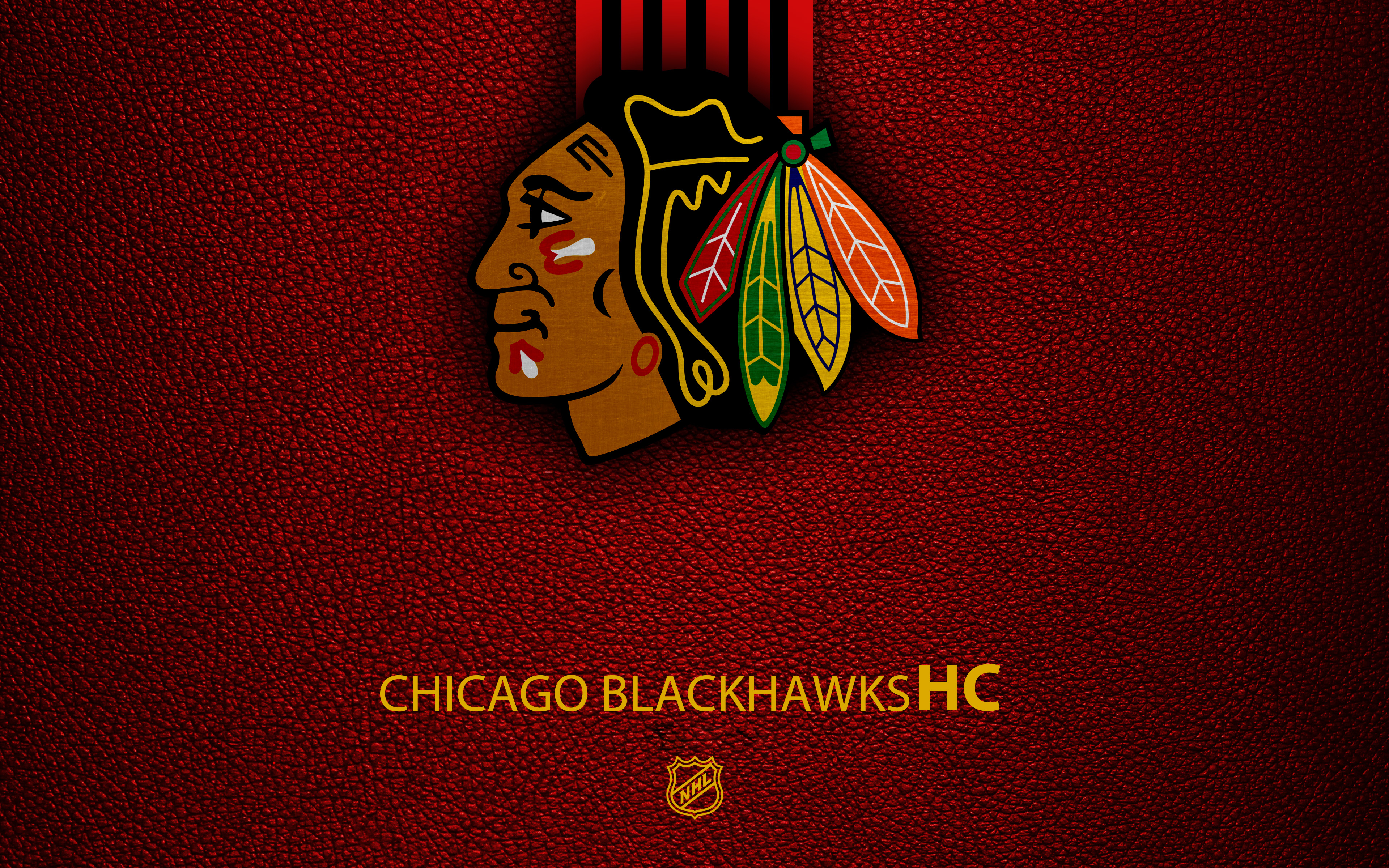Laden Sie das Sport, Basketball, Logo, Emblem, Chicago Blackhawks, Nhl-Bild kostenlos auf Ihren PC-Desktop herunter
