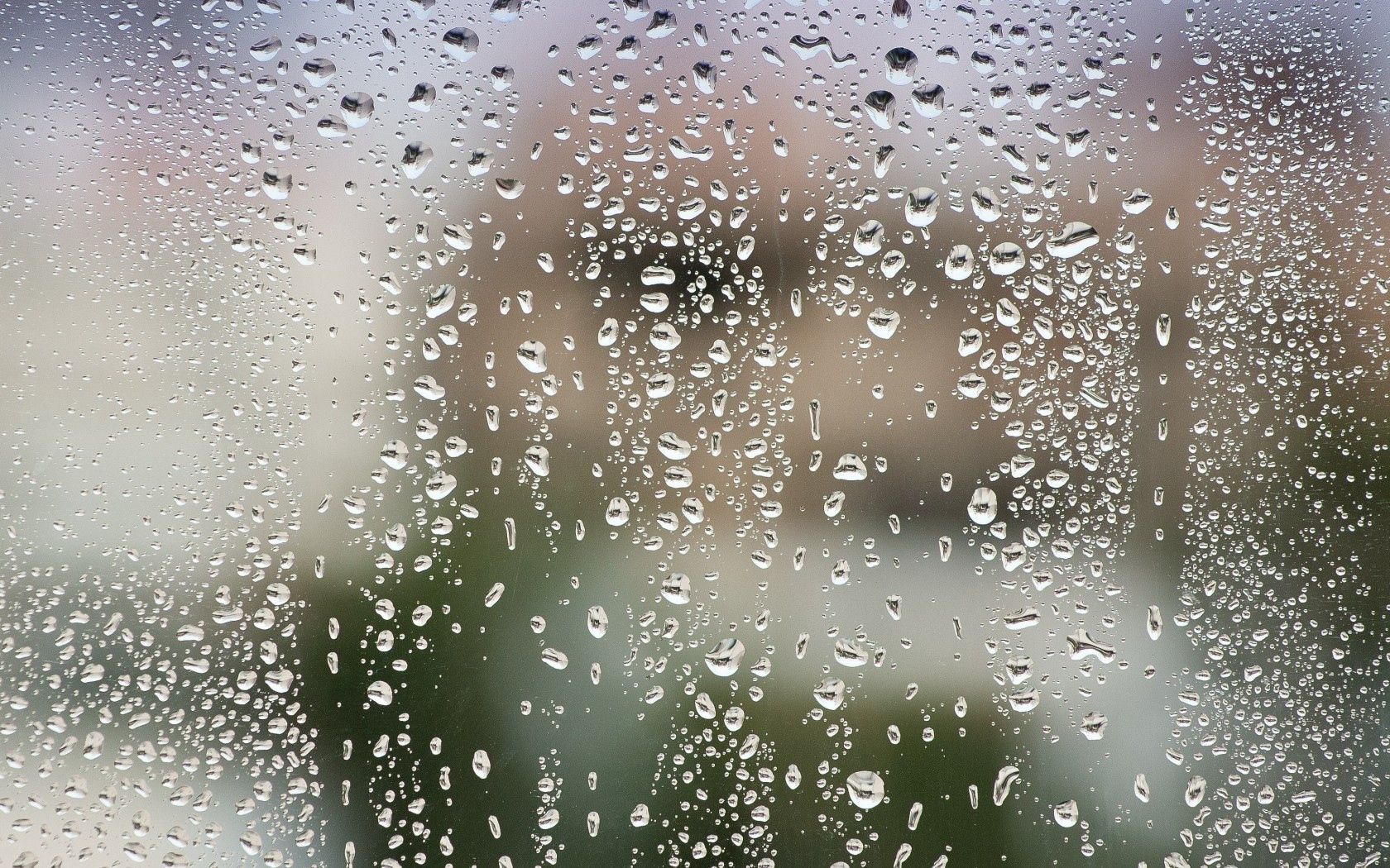 after the rain, water, drops, macro, glass Full HD