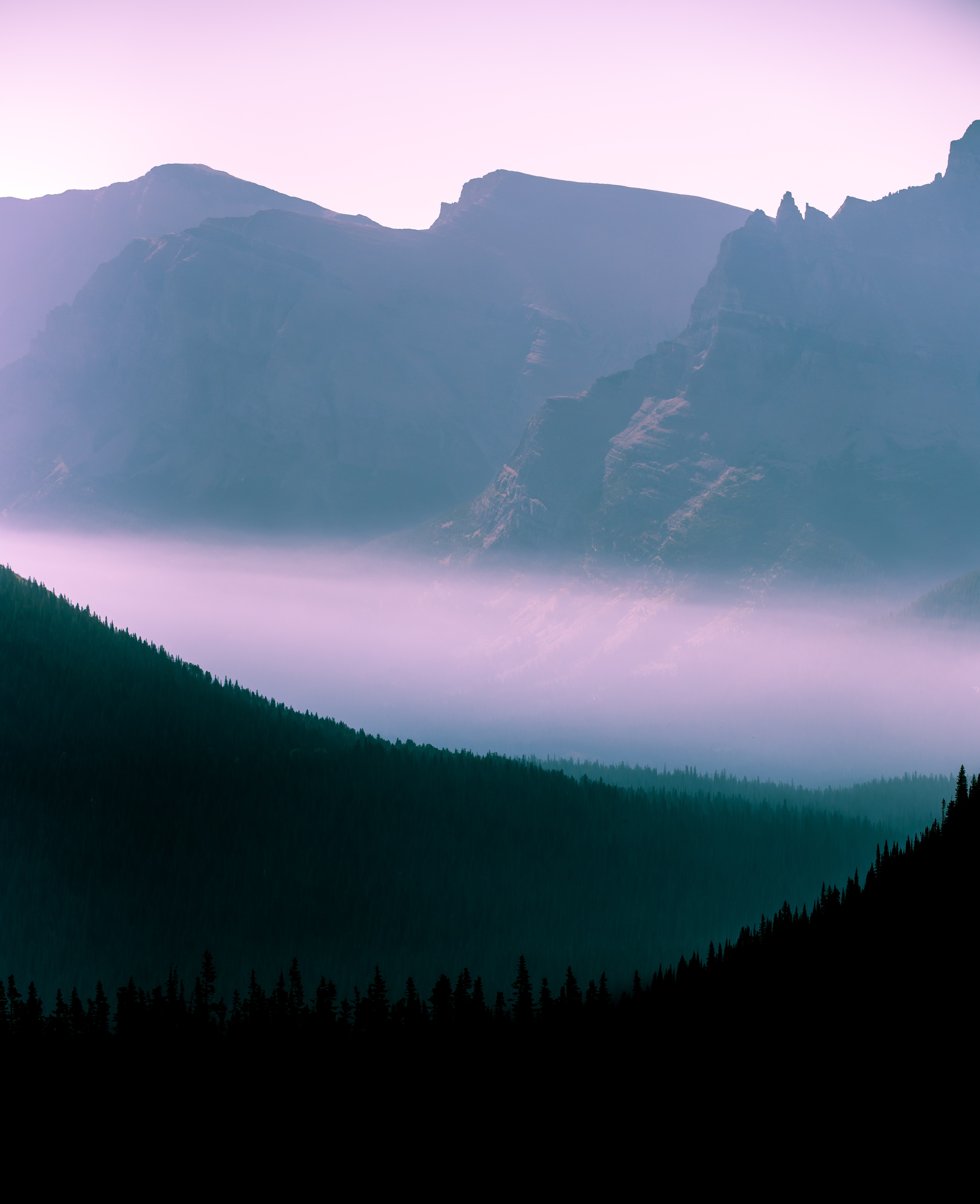 outlines, trees, nature, sky, mountains, forest, fog 4K