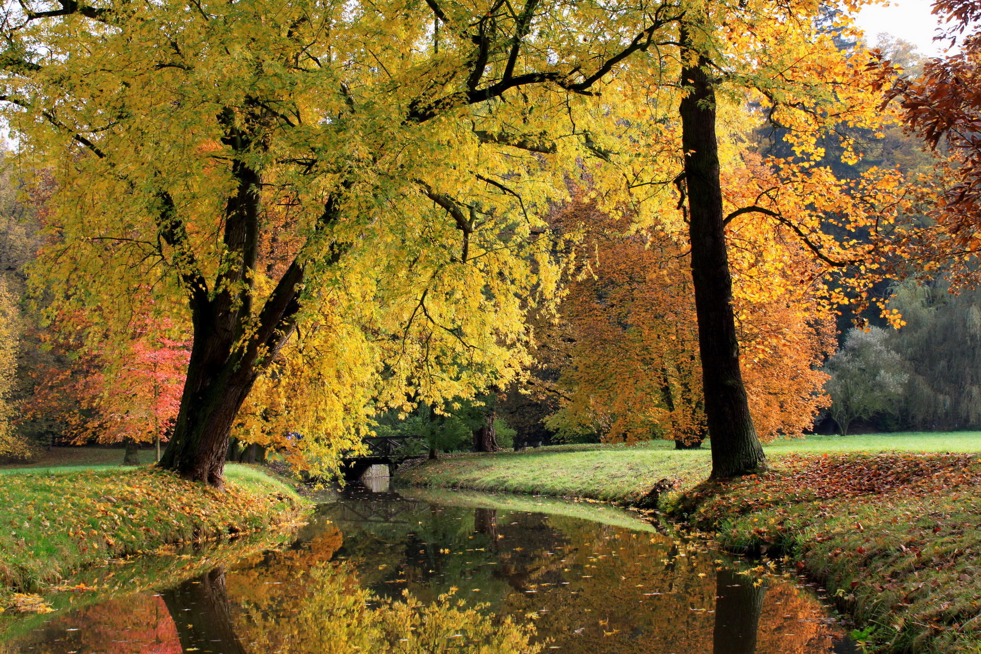 Free download wallpaper Park, Tree, Fall, Earth, River on your PC desktop