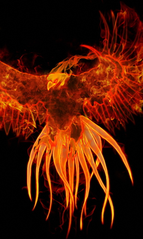 Download mobile wallpaper Fantasy, Phoenix, Fantasy Animals for free.